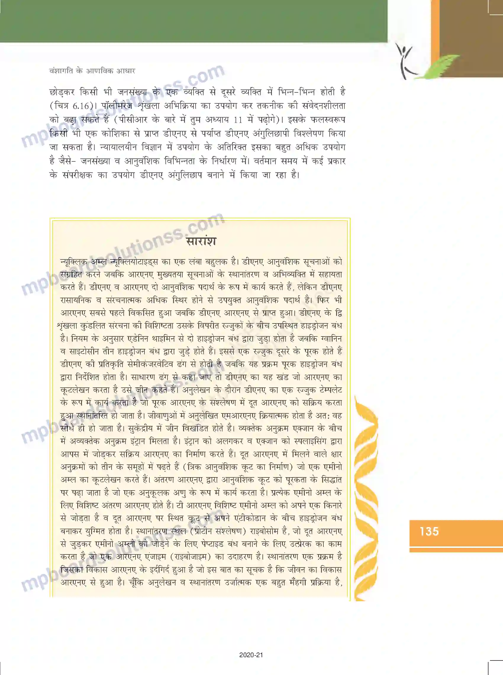 MP Board Book for Class 12 Biology वंशागति के आणविक आधार Image 31