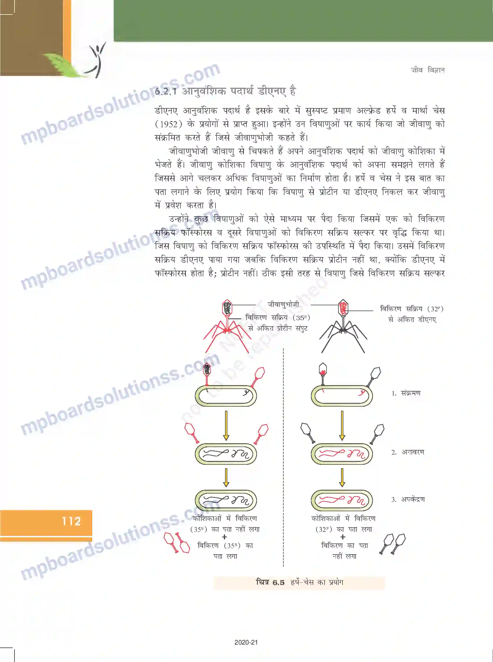 MP Board Book for Class 12 Biology वंशागति के आणविक आधार Image 8