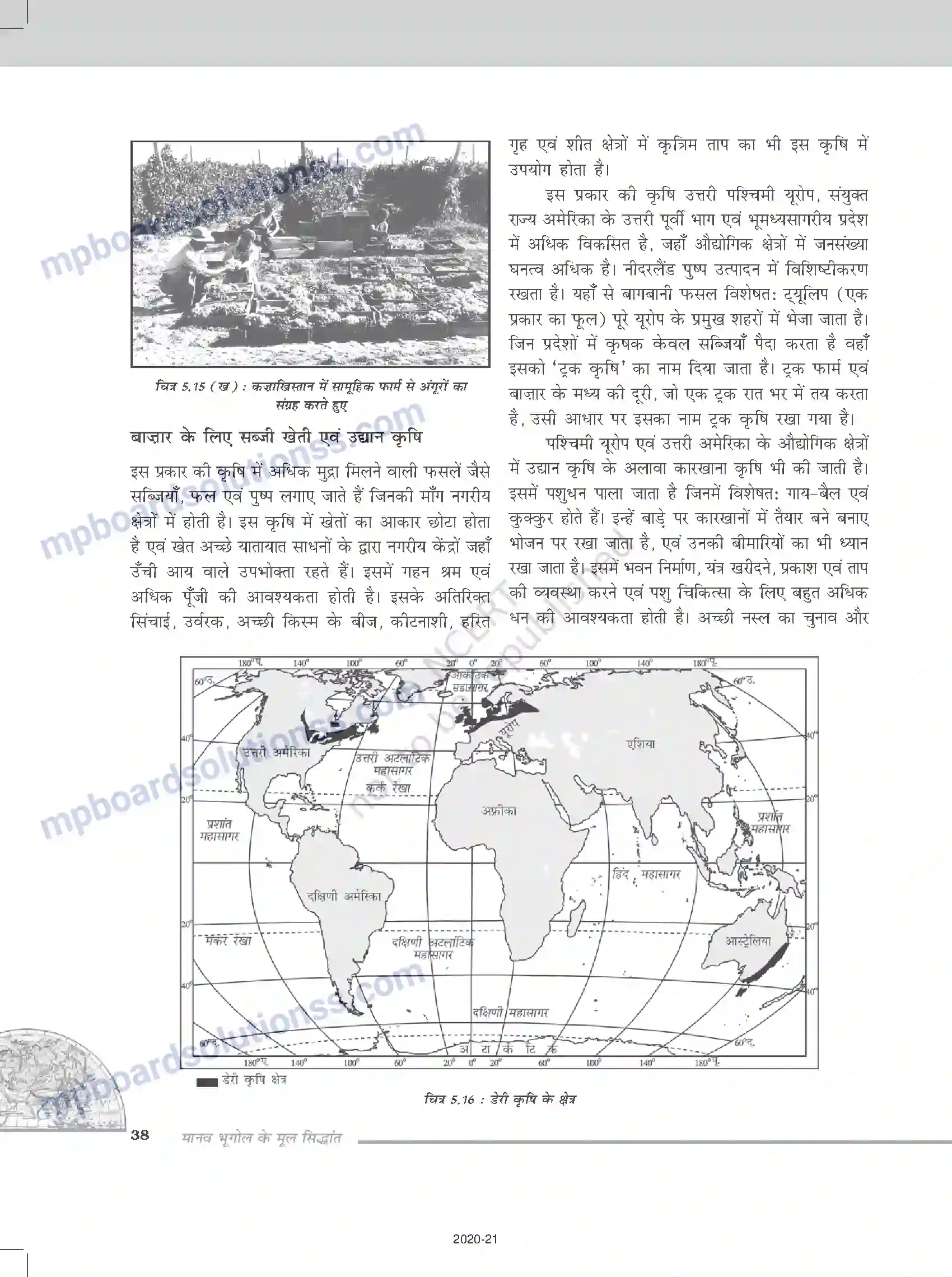 MP Board Book for Class 12 Geography प्राथमिक क्रियाएँ Image 10