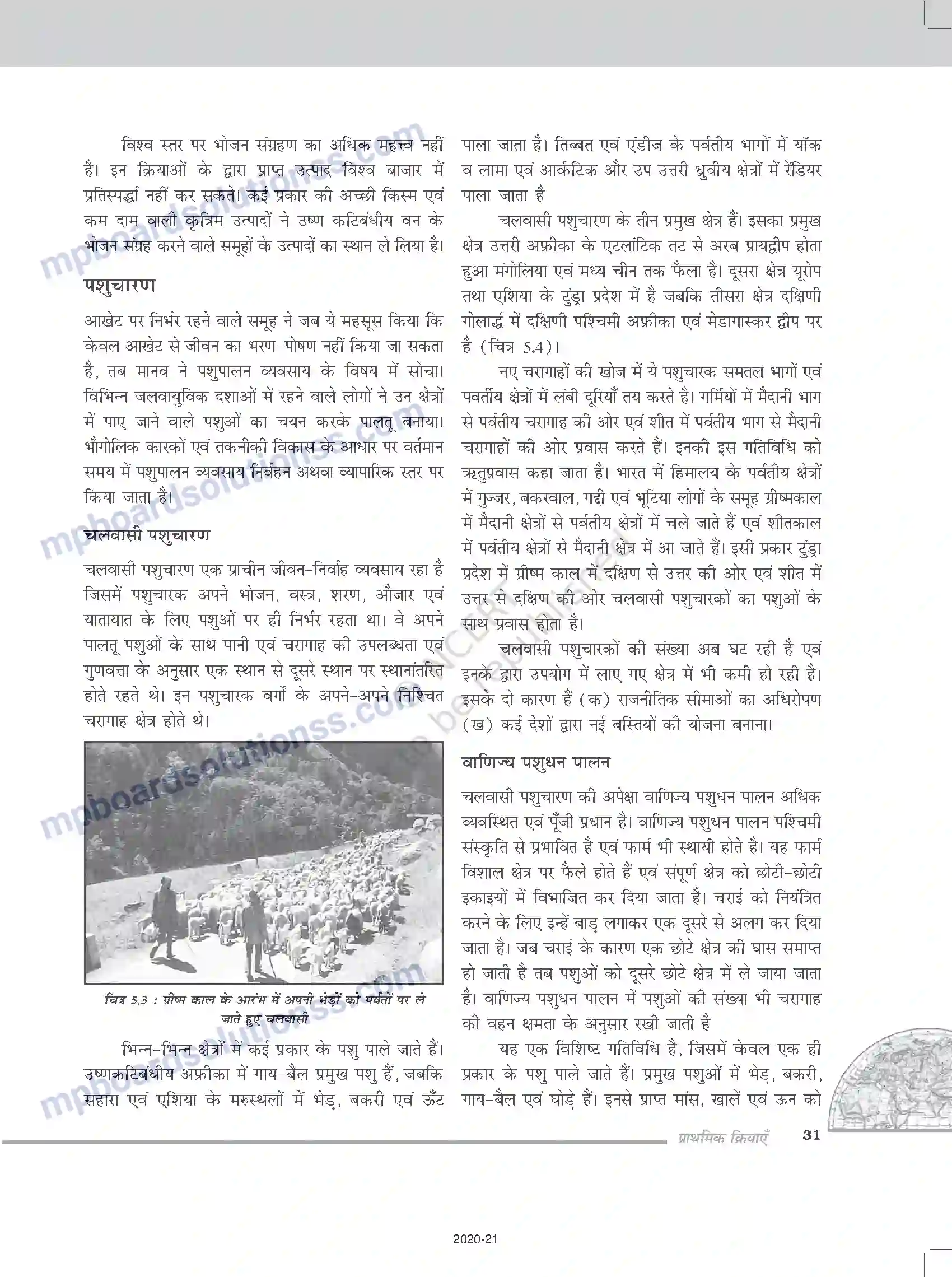 MP Board Book for Class 12 Geography प्राथमिक क्रियाएँ Image 3