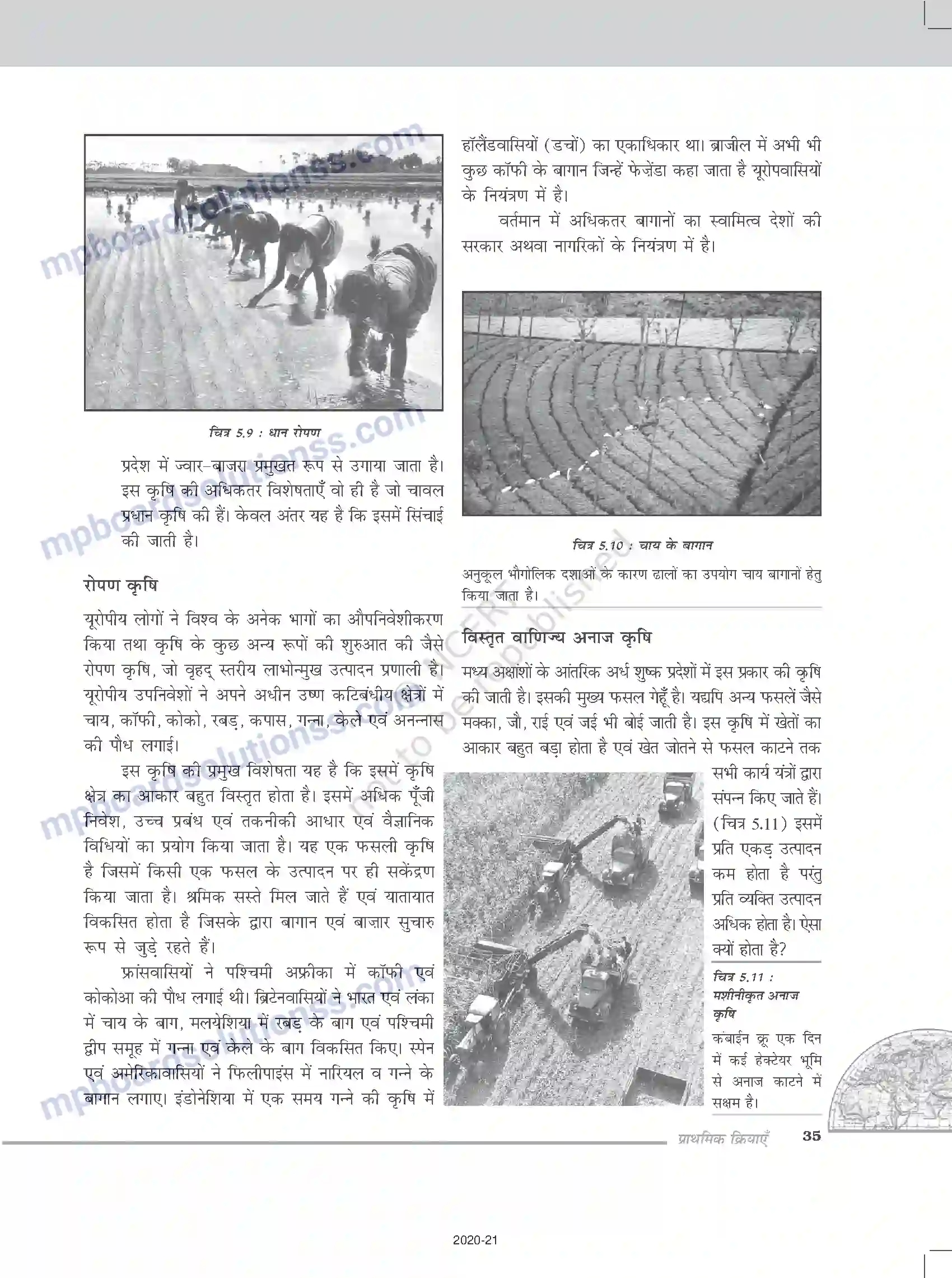 MP Board Book for Class 12 Geography प्राथमिक क्रियाएँ Image 7