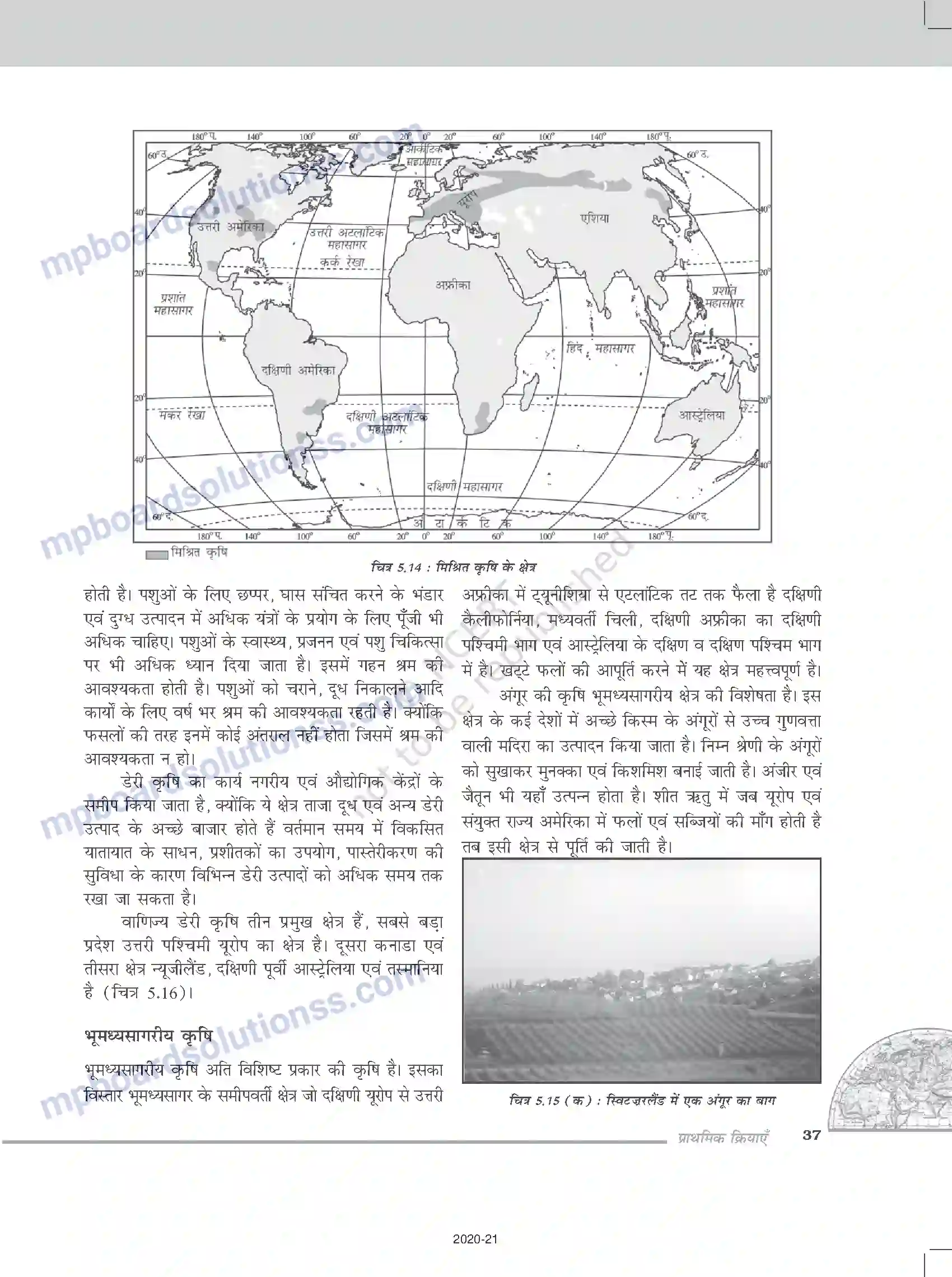 MP Board Book for Class 12 Geography प्राथमिक क्रियाएँ Image 9