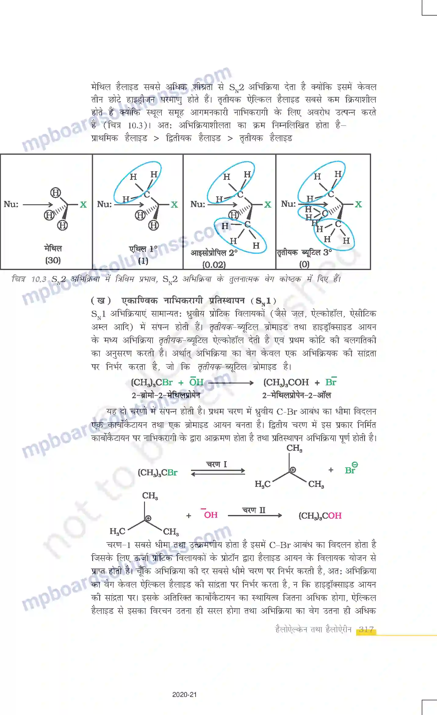 MP Board Book for Class 12 Chemistry हैलोऐल्केन तथा हैलोऐरीन Image 15