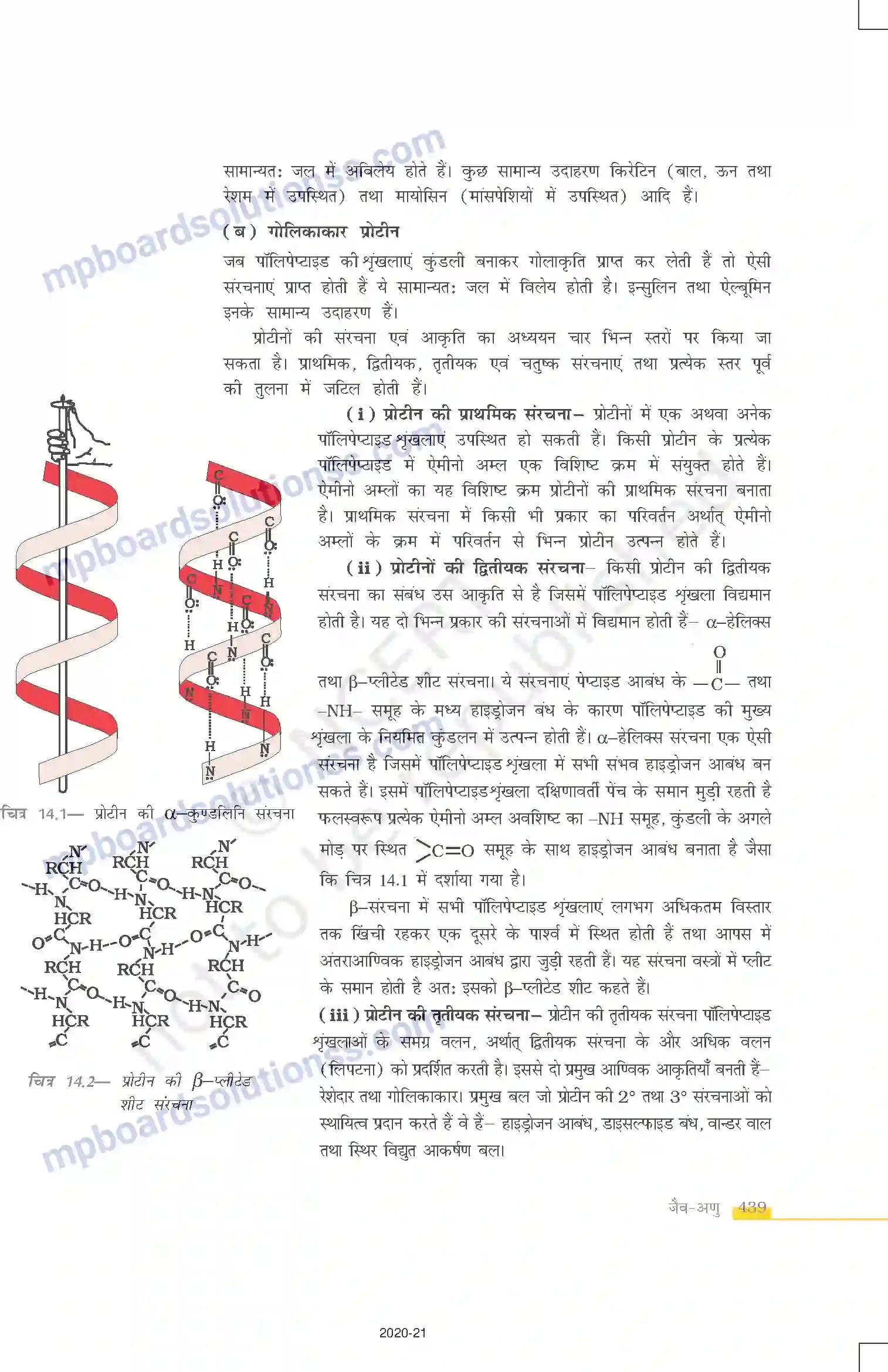 MP Board Book for Class 12 Chemistry जैव-अणु Image 13