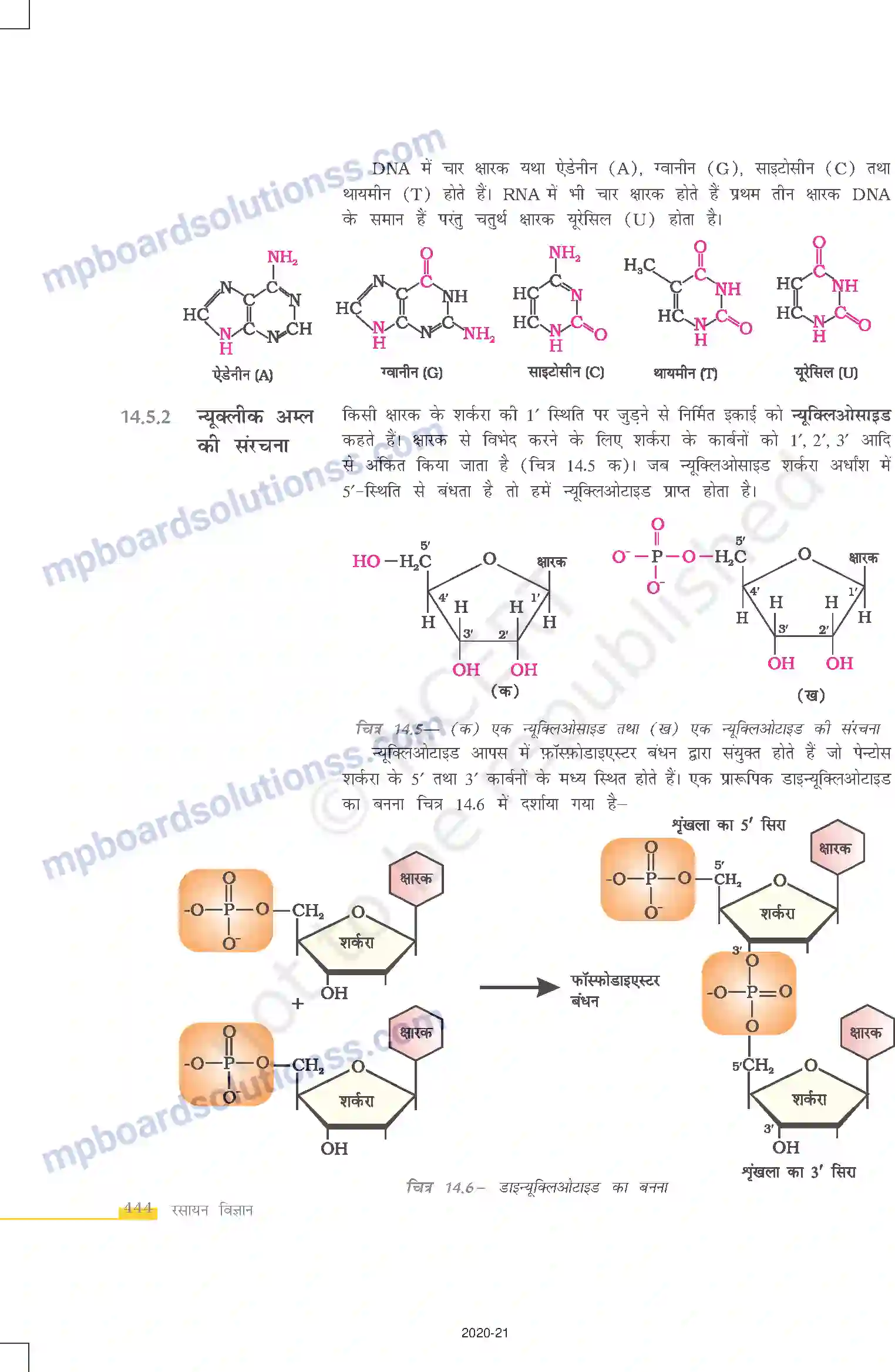 MP Board Book for Class 12 Chemistry जैव-अणु Image 18