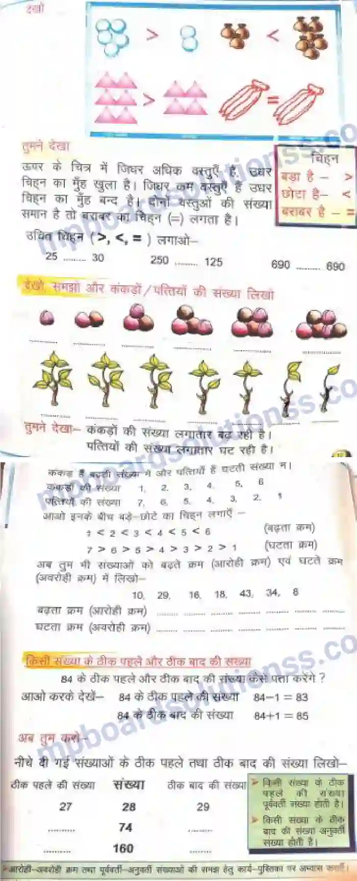 MP Board Book for Class 2 Mathematics छोटी बड़ी संख्याएँ Image 2