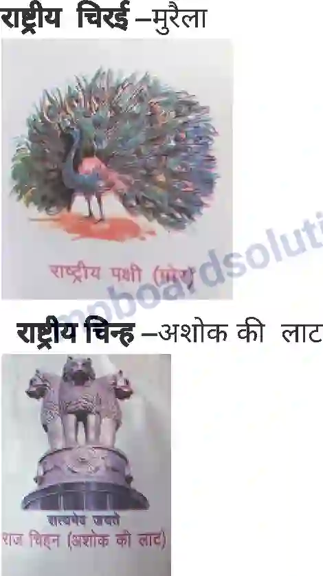 MP Board Book for Class 2 Hindi राष्ट्रीय चिन्ह Image 2