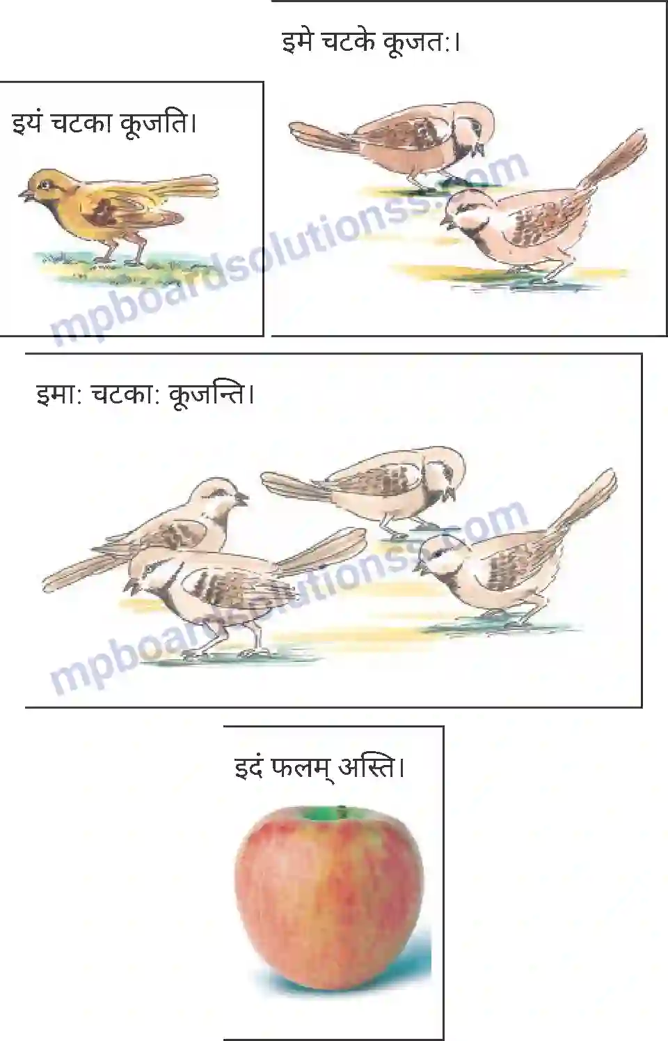 MP Board Book for Class 4 Sanskrit सर्वनाम प्रयोग Image 2