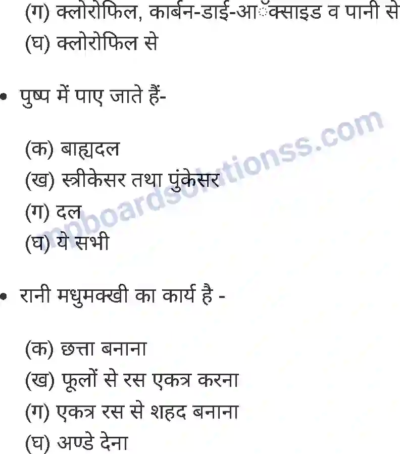 MP Board Book for Class 4 Environmental Studies दादी माँ की बगिया Image 10