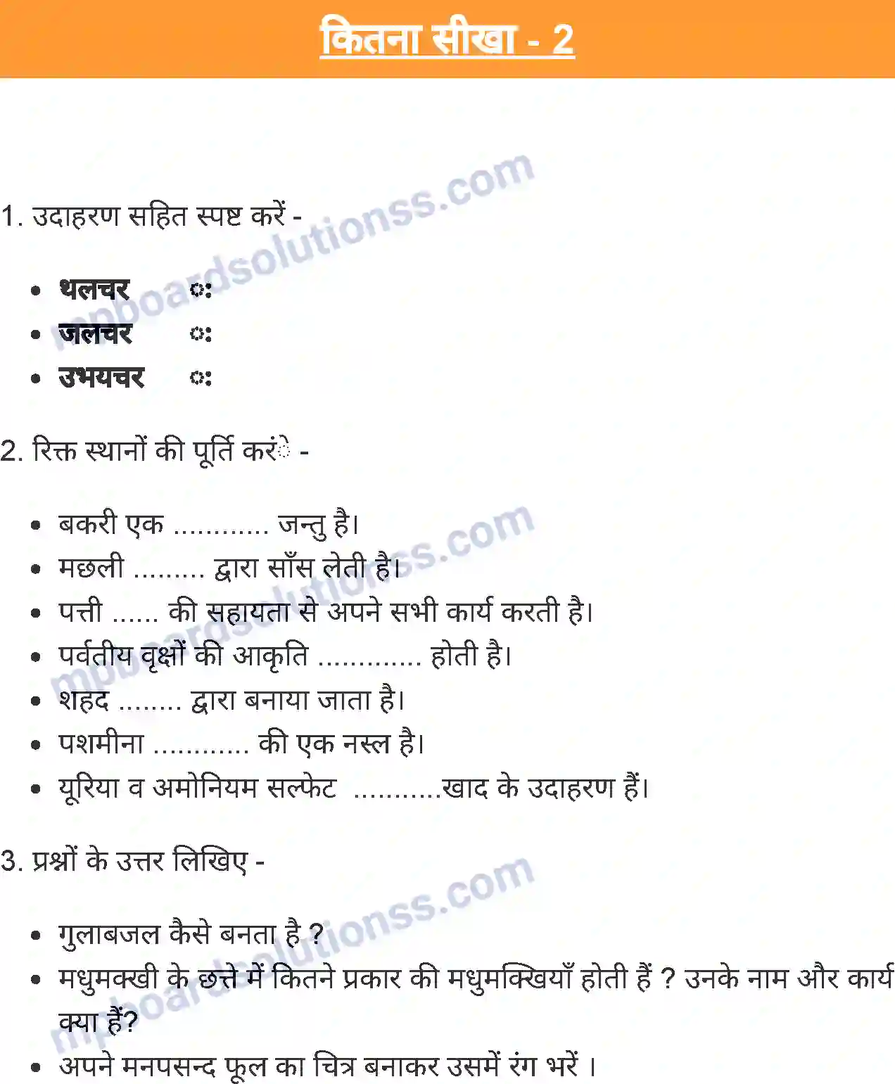 MP Board Book for Class 4 Environmental Studies दादी माँ की बगिया Image 8