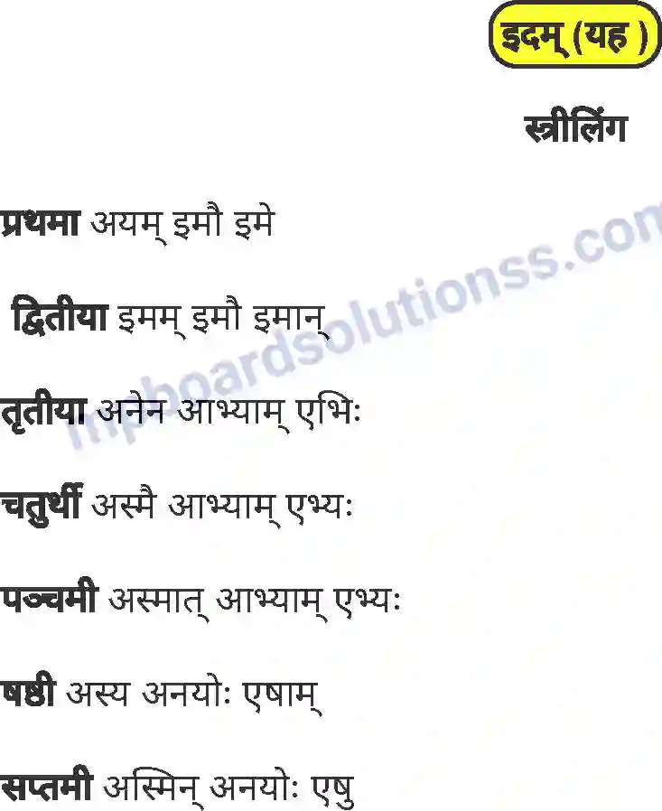 MP Board Book for Class 5 Sanskrit विंशतिः पाठः Image 16