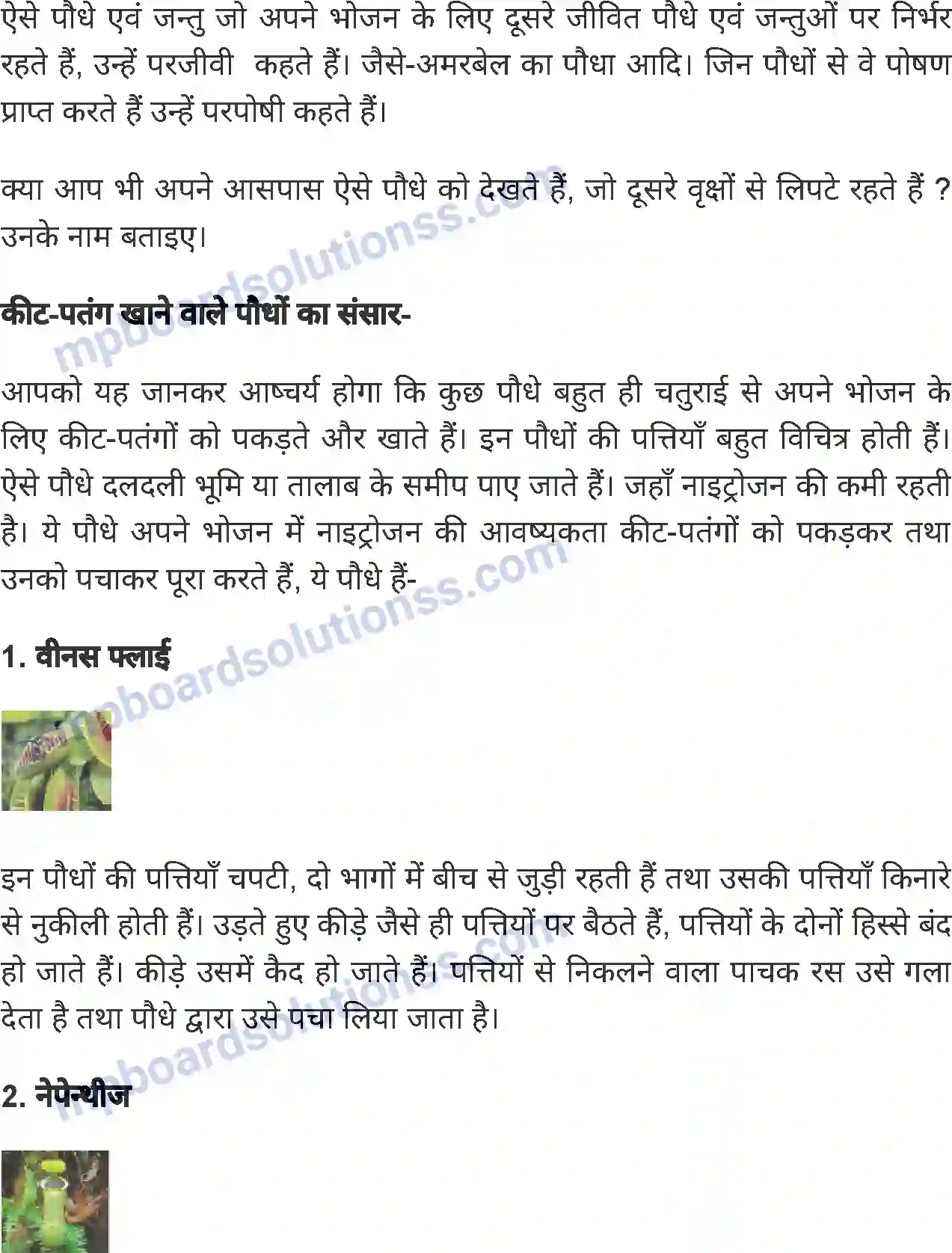 MP Board Book for Class 5 Environmental Studies पेड़-पौधों का भोजन Image 4