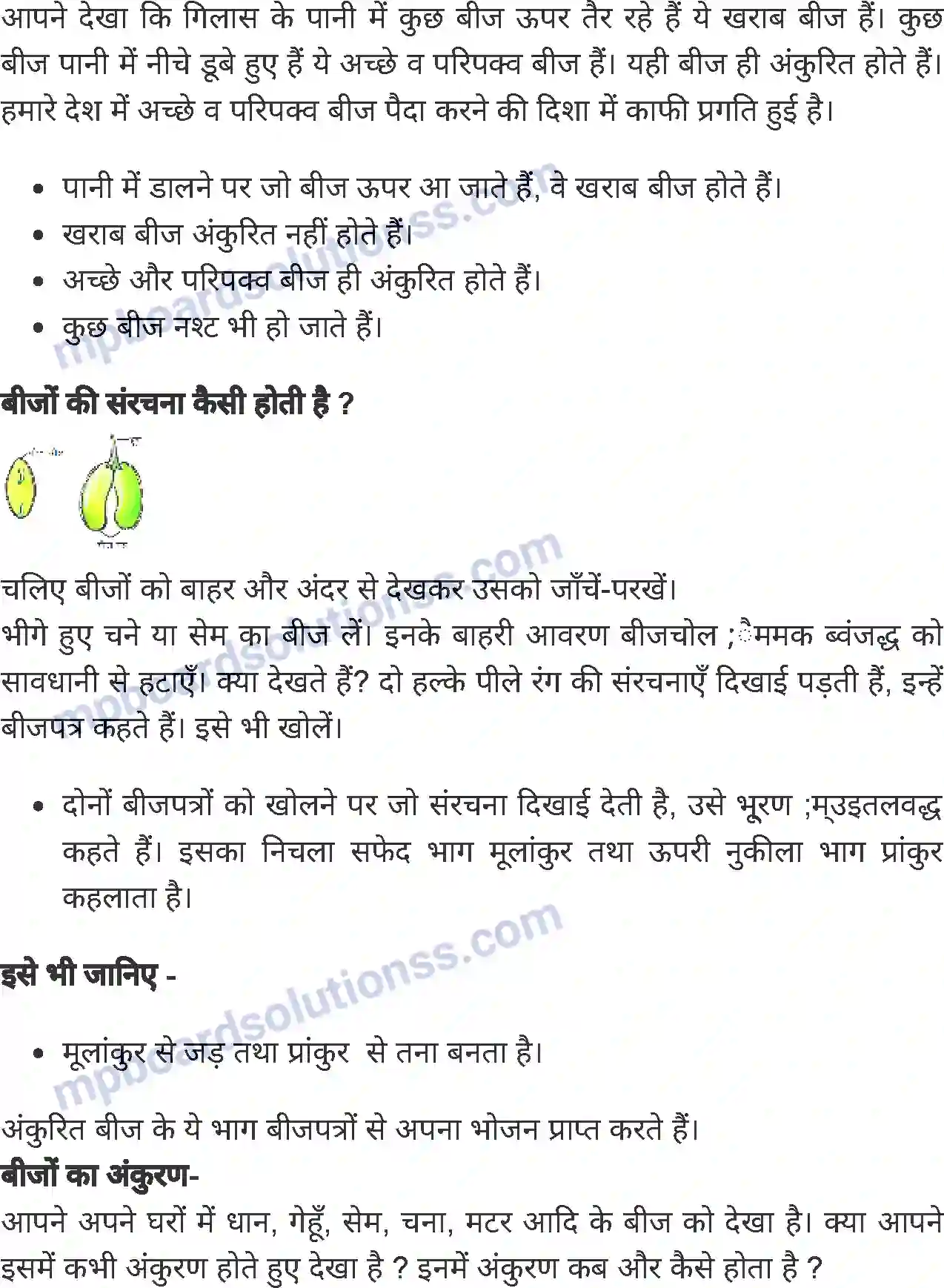 MP Board Book for Class 5 Environmental Studies बीज ही बीज Image 3