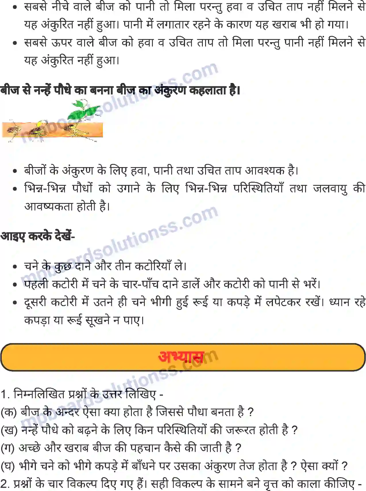 MP Board Book for Class 5 Environmental Studies बीज ही बीज Image 5