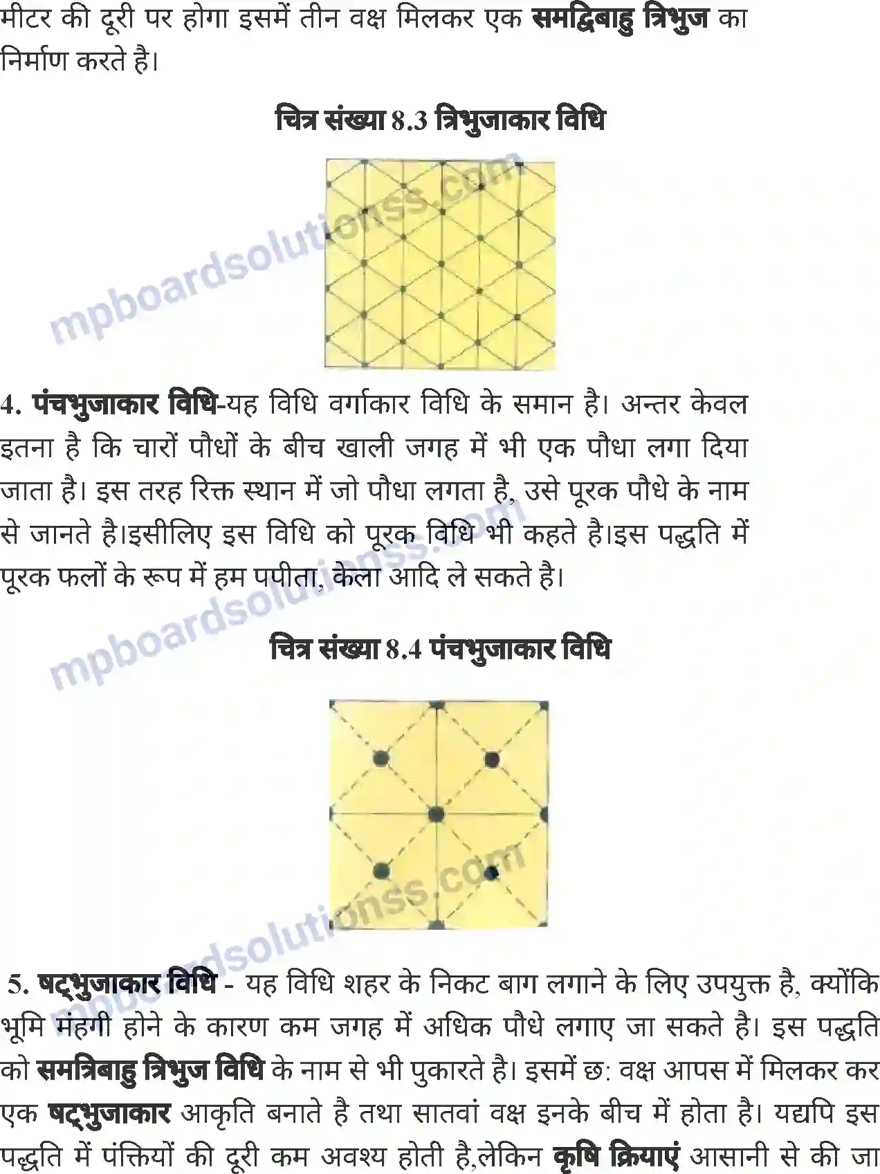 MP Board Book for Class 6 Agriculture बाग Image 4