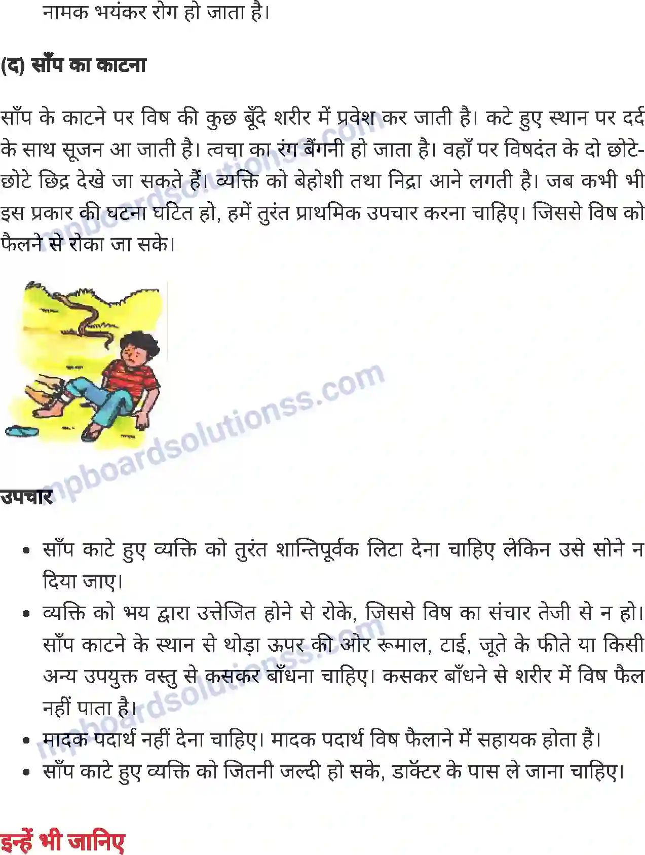 MP Board Book for Class 6 Home Science प्राथमिक चिकित्सा Image 5