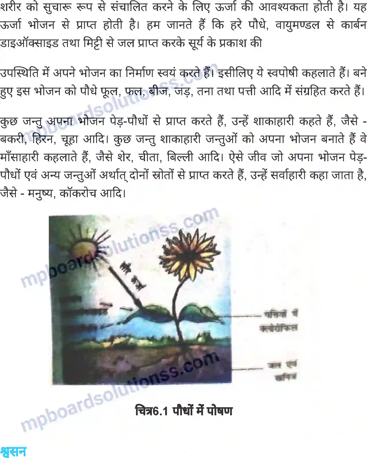MP Board Book for Class 6 Science जीव जगत Image 2