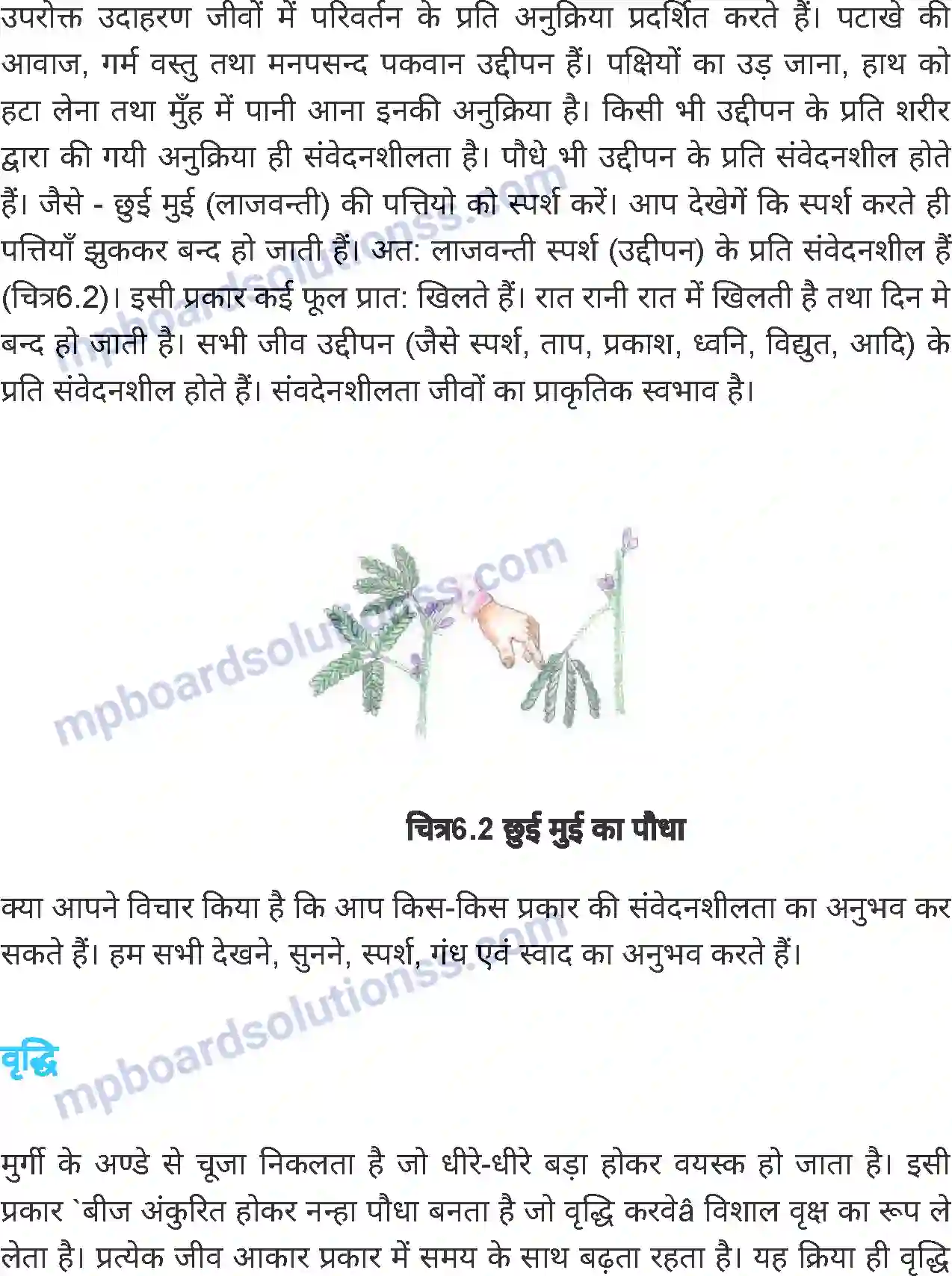 MP Board Book for Class 6 Science जीव जगत Image 4