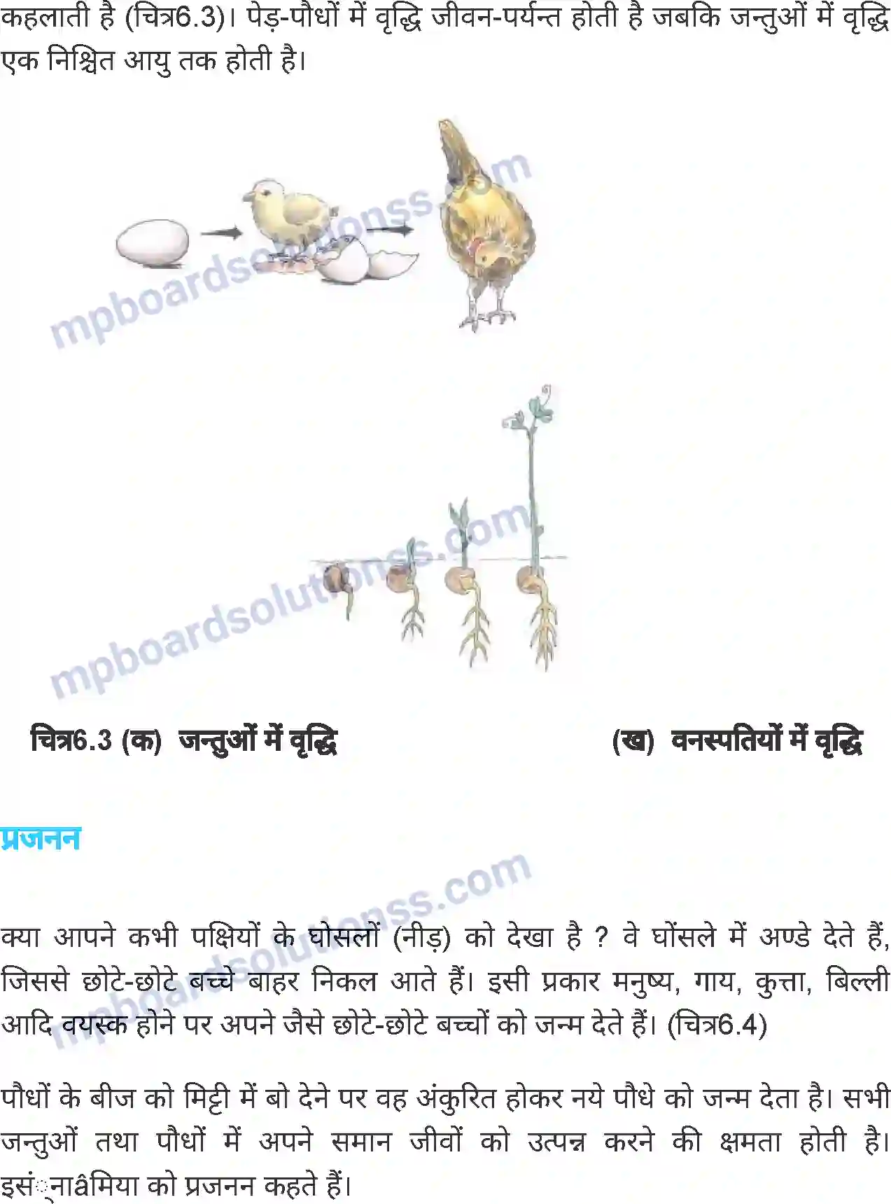 MP Board Book for Class 6 Science जीव जगत Image 5