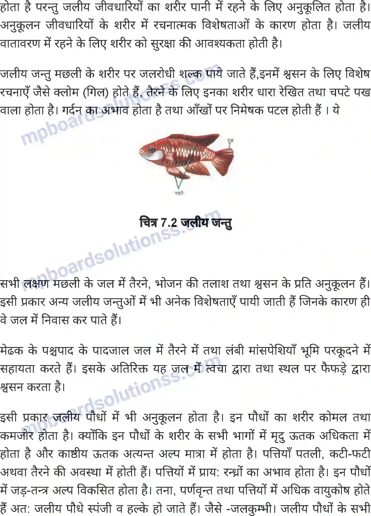 MP Board Book for Class 6 Science जीवों में अनुकूलन Image 6