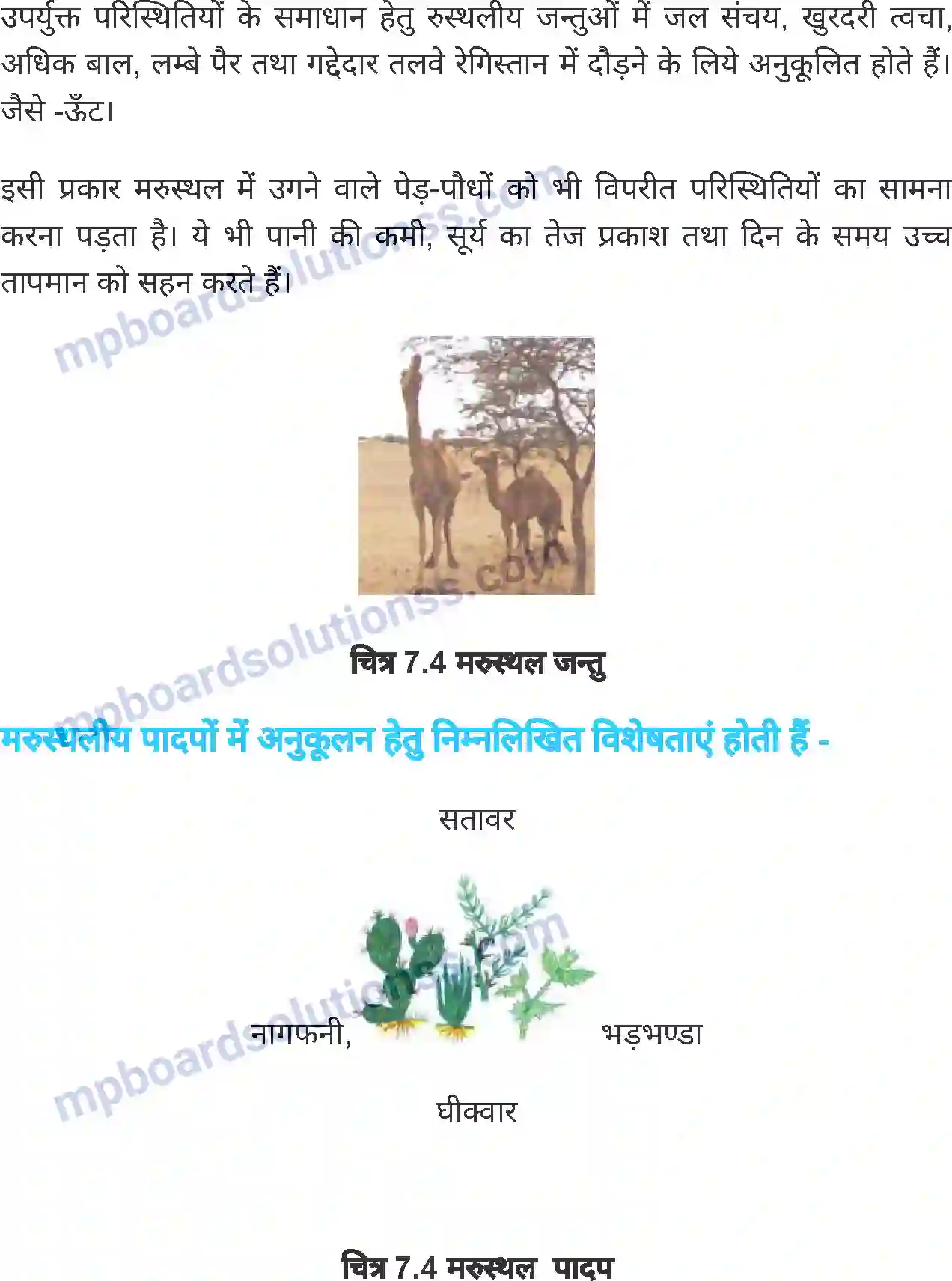 MP Board Book for Class 6 Science जीवों में अनुकूलन Image 8