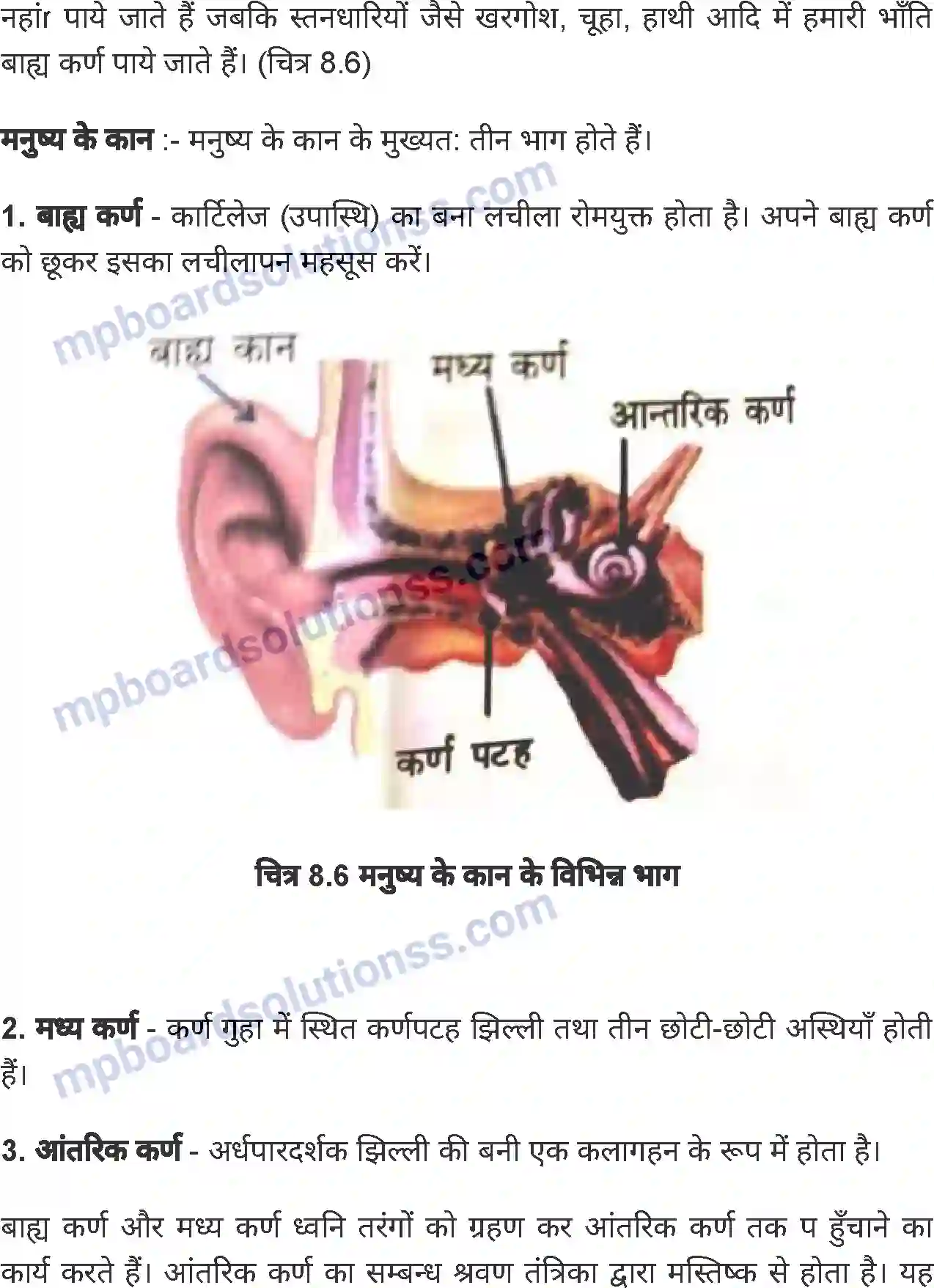 MP Board Book for Class 6 Science जंतु की संरचना व कार्य Image 11
