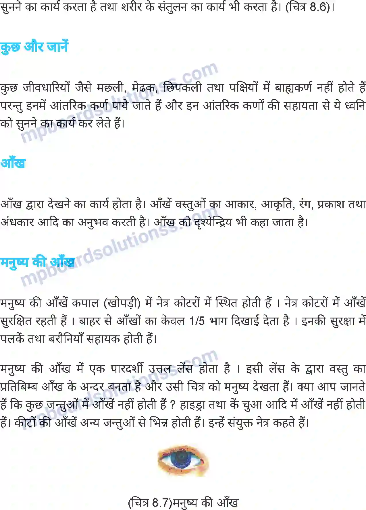 MP Board Book for Class 6 Science जंतु की संरचना व कार्य Image 12
