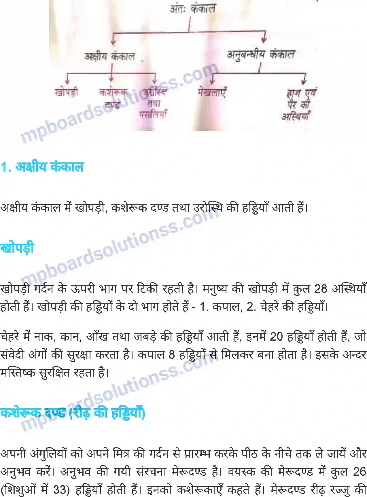 MP Board Book for Class 6 Science जंतु की संरचना व कार्य Image 16