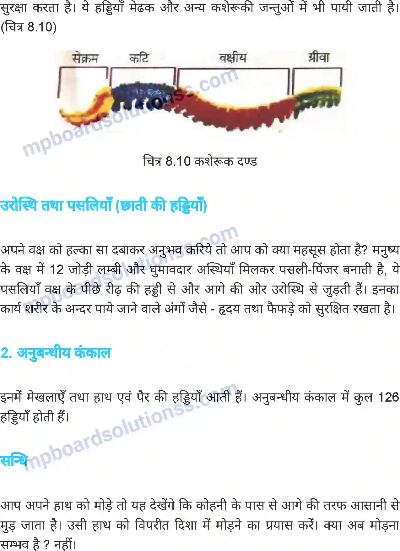 MP Board Book for Class 6 Science जंतु की संरचना व कार्य Image 17