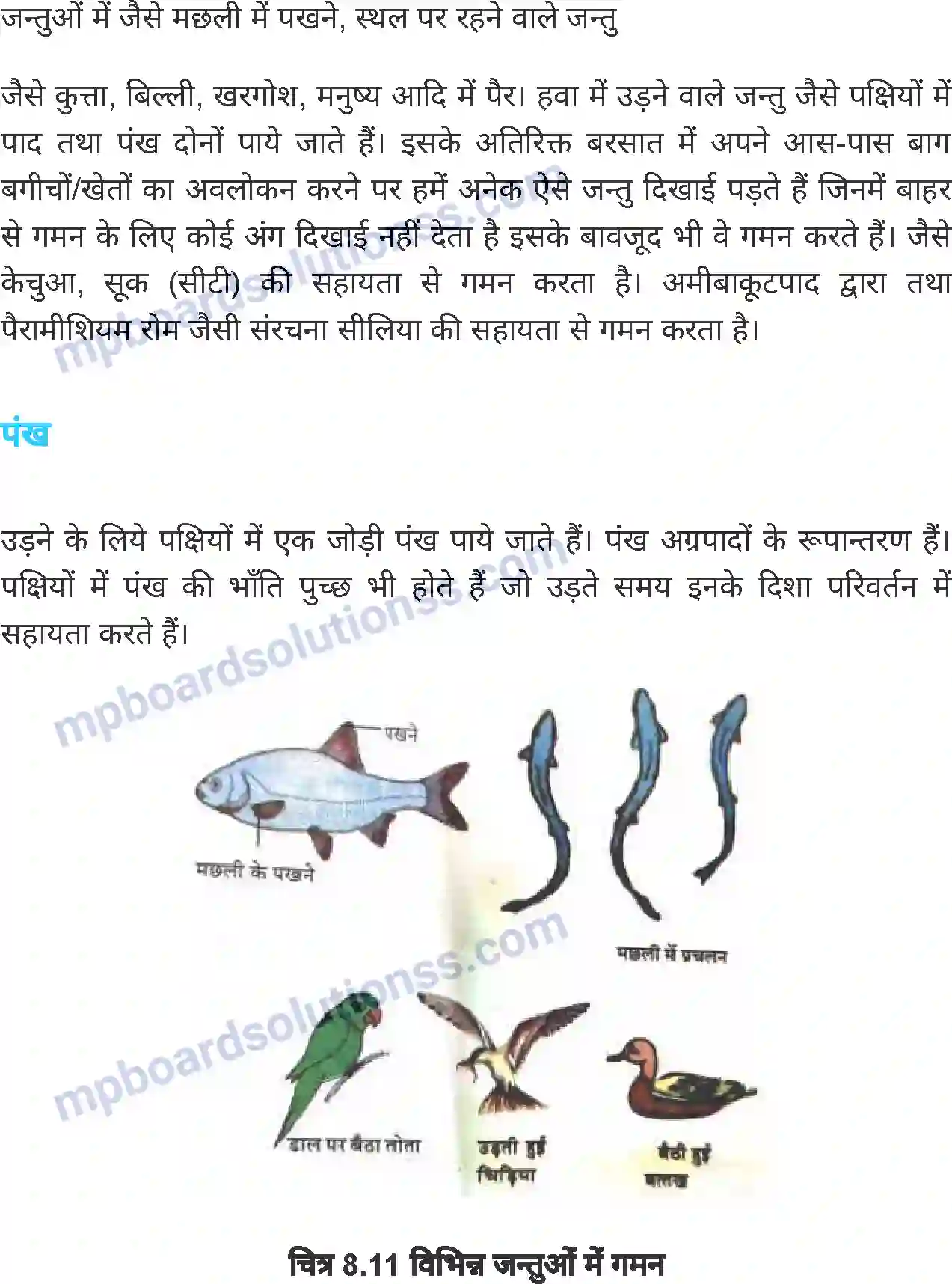 MP Board Book for Class 6 Science जंतु की संरचना व कार्य Image 19