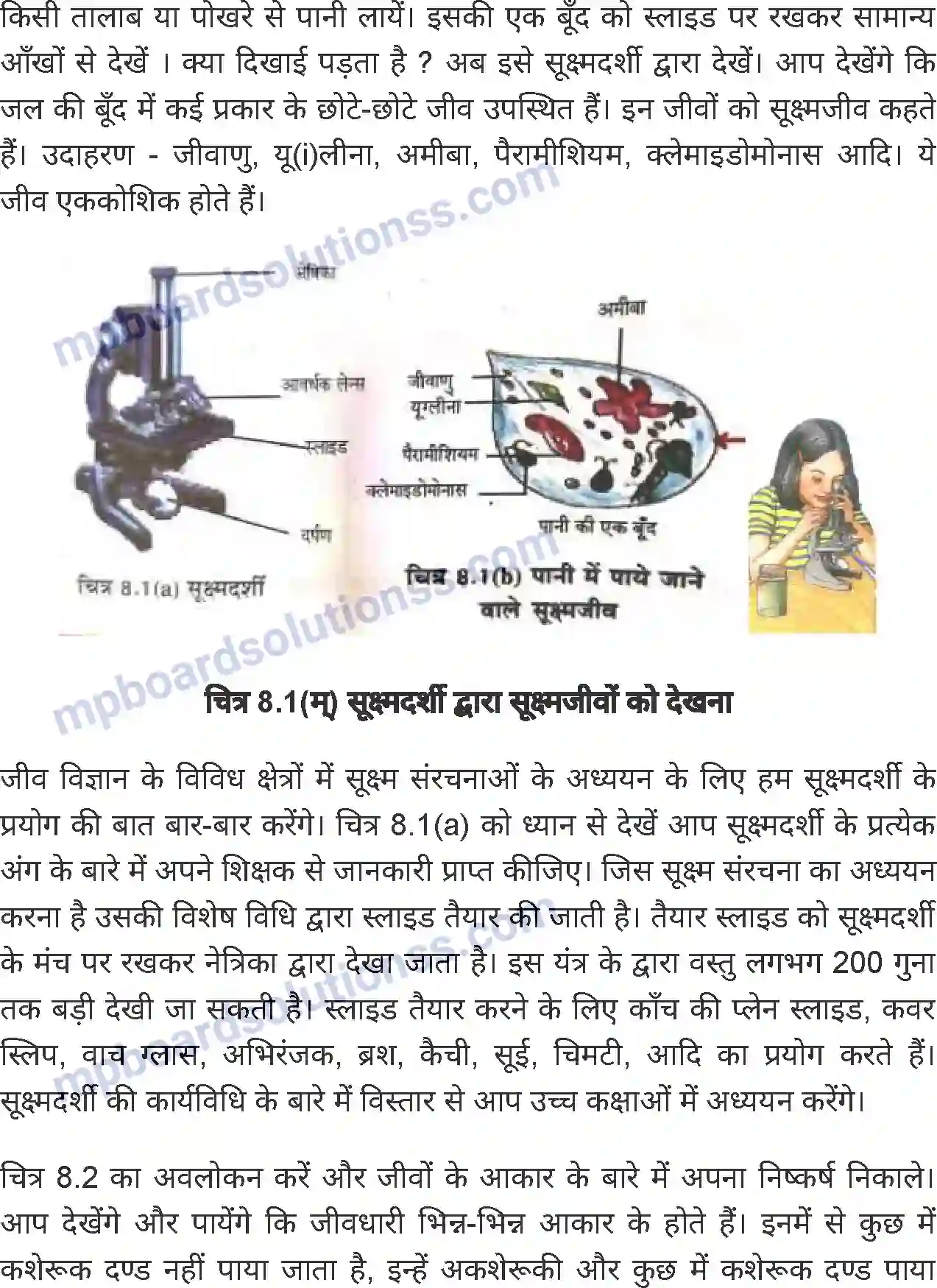 MP Board Book for Class 6 Science जंतु की संरचना व कार्य Image 2