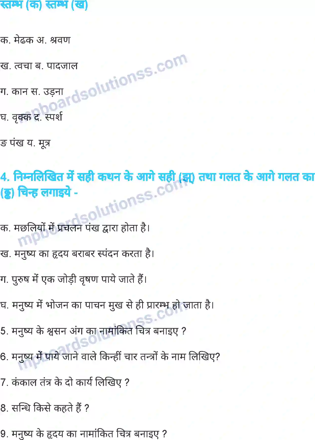 MP Board Book for Class 6 Science जंतु की संरचना व कार्य Image 23