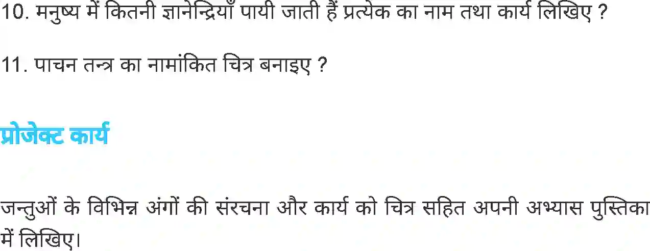 MP Board Book for Class 6 Science जंतु की संरचना व कार्य Image 24