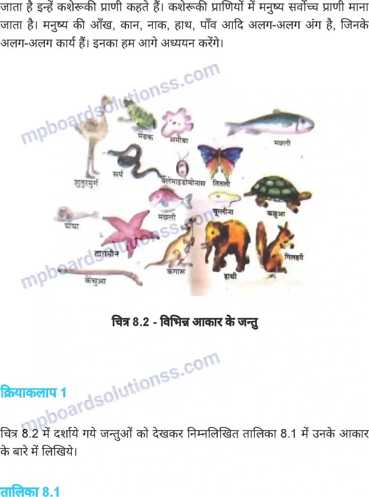 MP Board Book for Class 6 Science जंतु की संरचना व कार्य Image 3