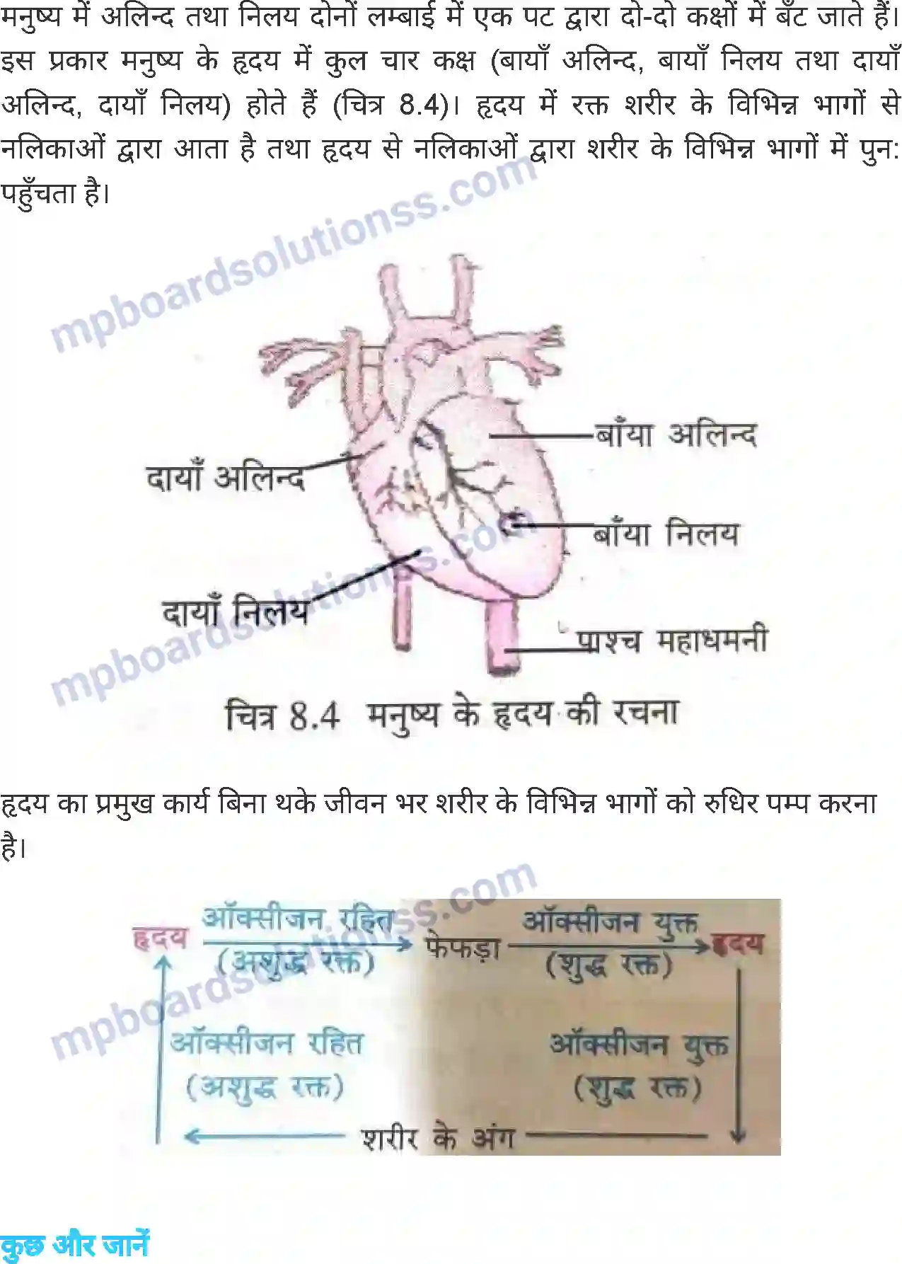 MP Board Book for Class 6 Science जंतु की संरचना व कार्य Image 7
