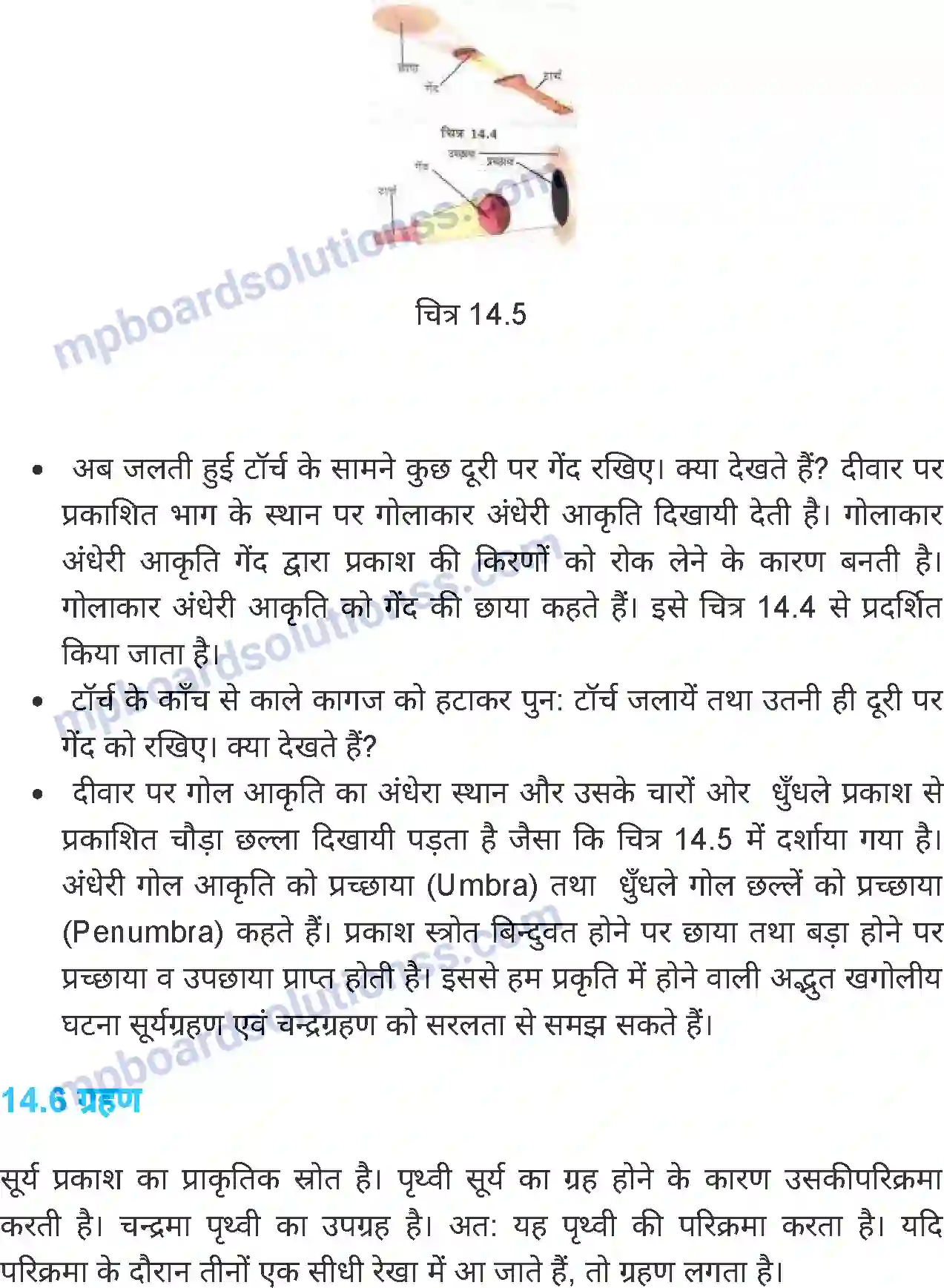 MP Board Book for Class 6 Science प्रकाश Image 8