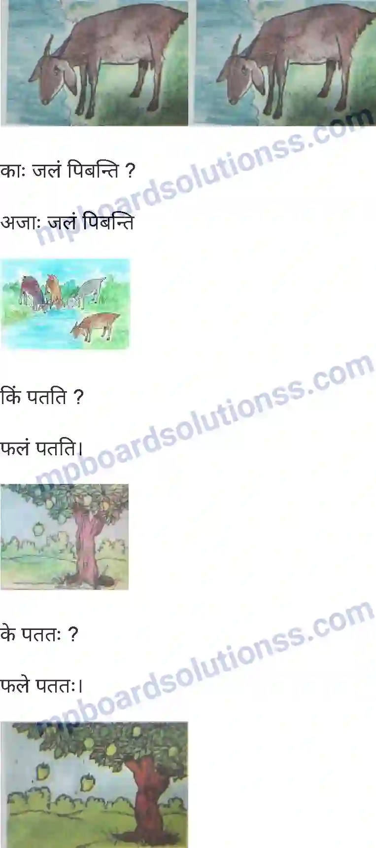 MP Board Book for Class 6 Sanskrit पुनरावलोकनम्-1 Image 4