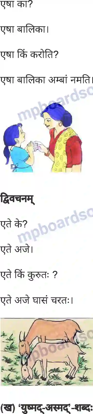 MP Board Book for Class 6 Sanskrit पुनरावलोकनम्-2 Image 3