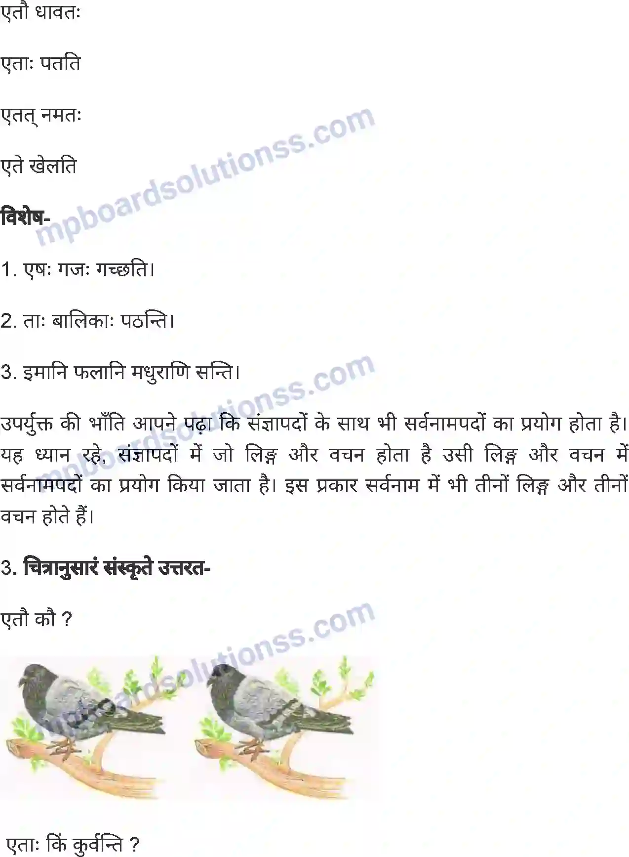 MP Board Book for Class 6 Sanskrit पुनरावलोकनम्-2 Image 6