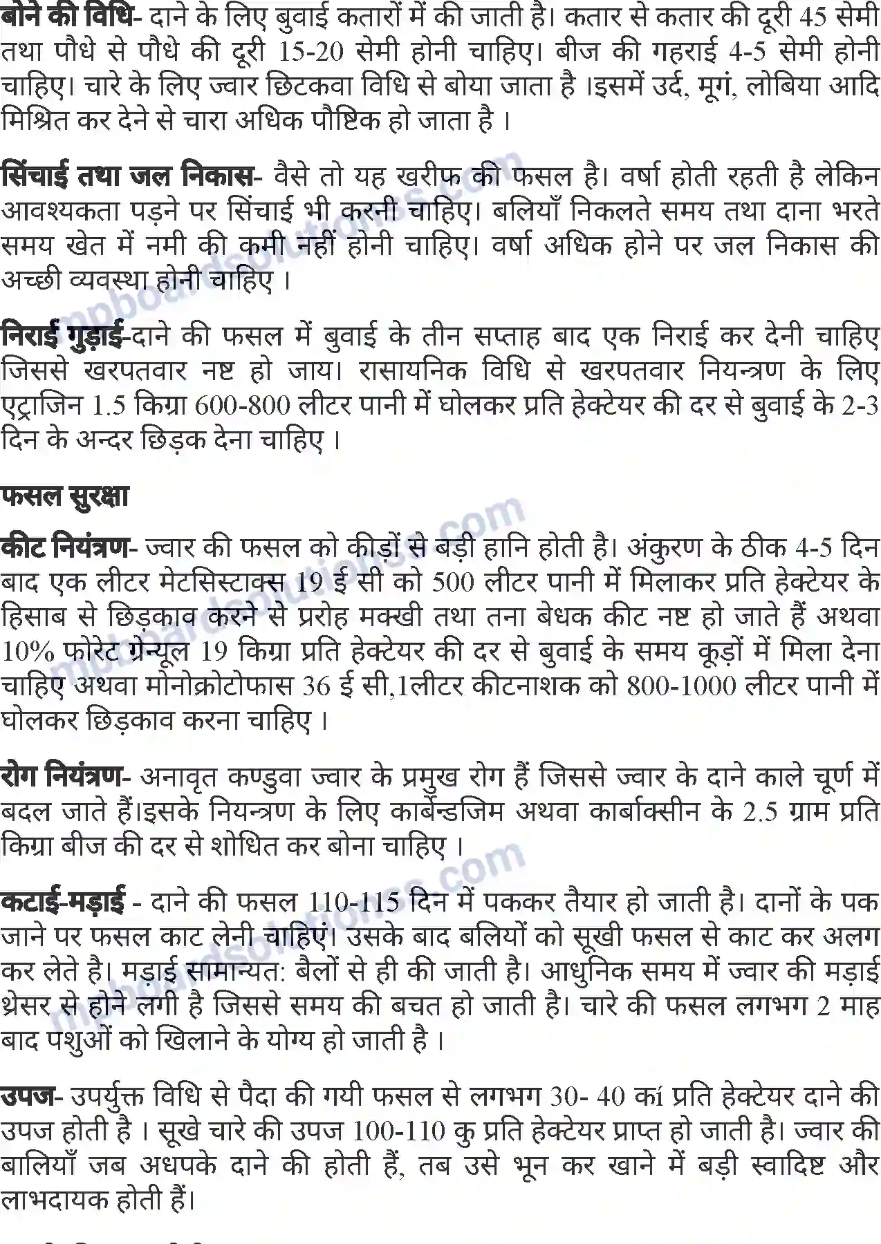 MP Board Book for Class 7 Agriculture सामान्य फसलें Image 3