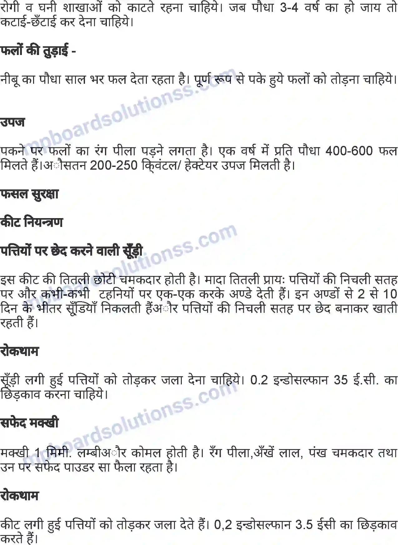 MP Board Book for Class 7 Agriculture बागवानी एवं वृक्षारोपण Image 10