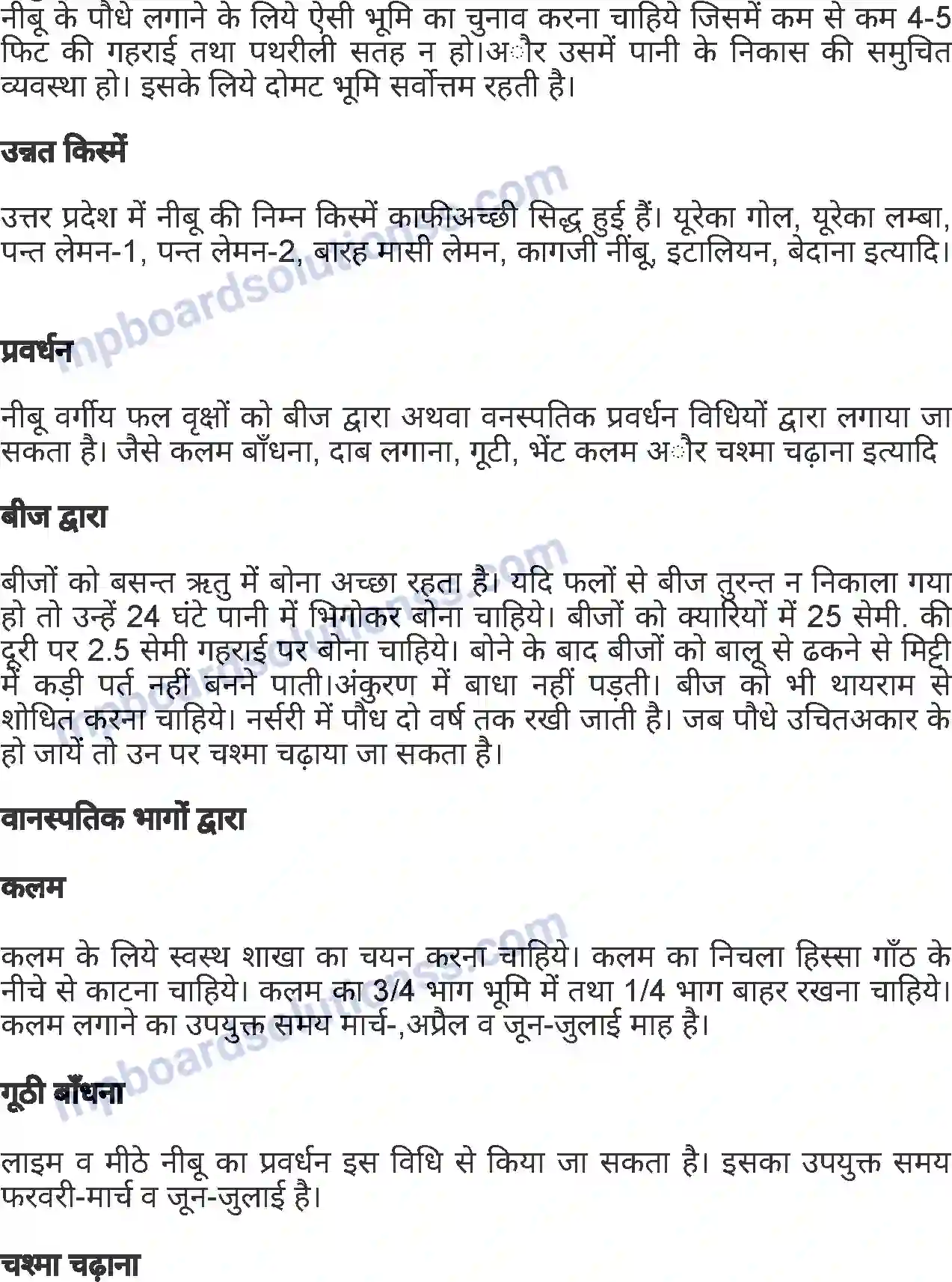 MP Board Book for Class 7 Agriculture बागवानी एवं वृक्षारोपण Image 8