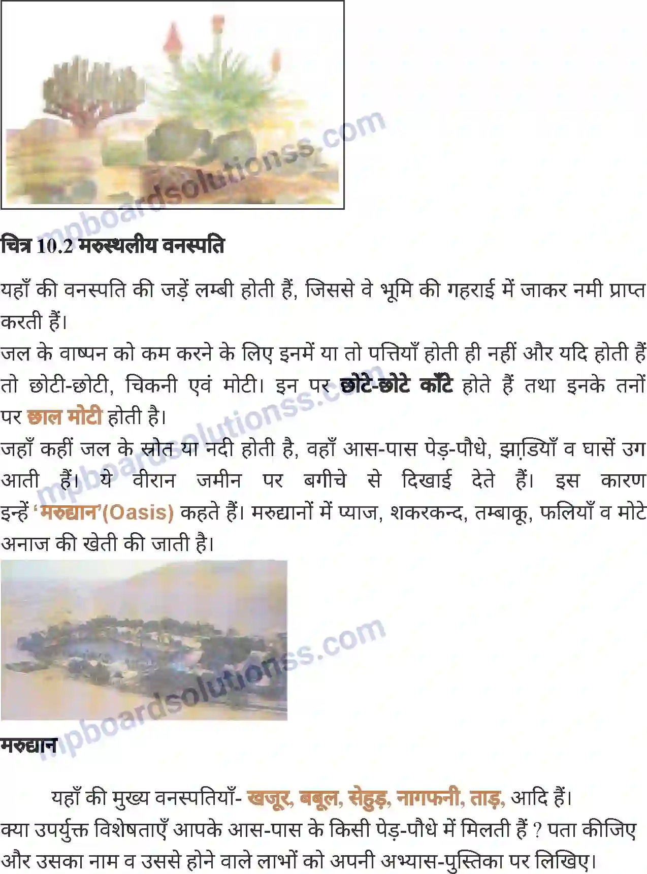 MP Board Book for Class 7 Social Science प्राकृतिक प्रदेश एवं जनजीवन - मरुस्थल Image 3
