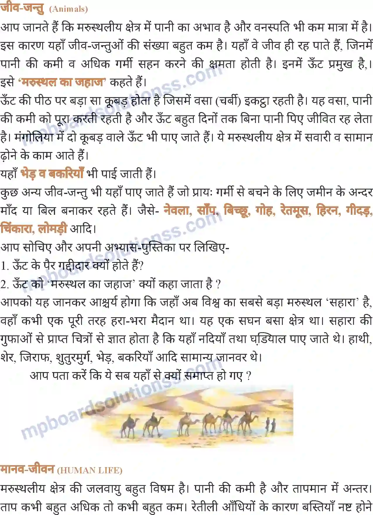 MP Board Book for Class 7 Social Science प्राकृतिक प्रदेश एवं जनजीवन - मरुस्थल Image 4