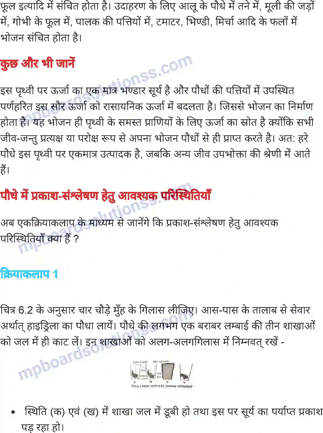 MP Board Book for Class 7 Science पौधों में पोषण Image 3