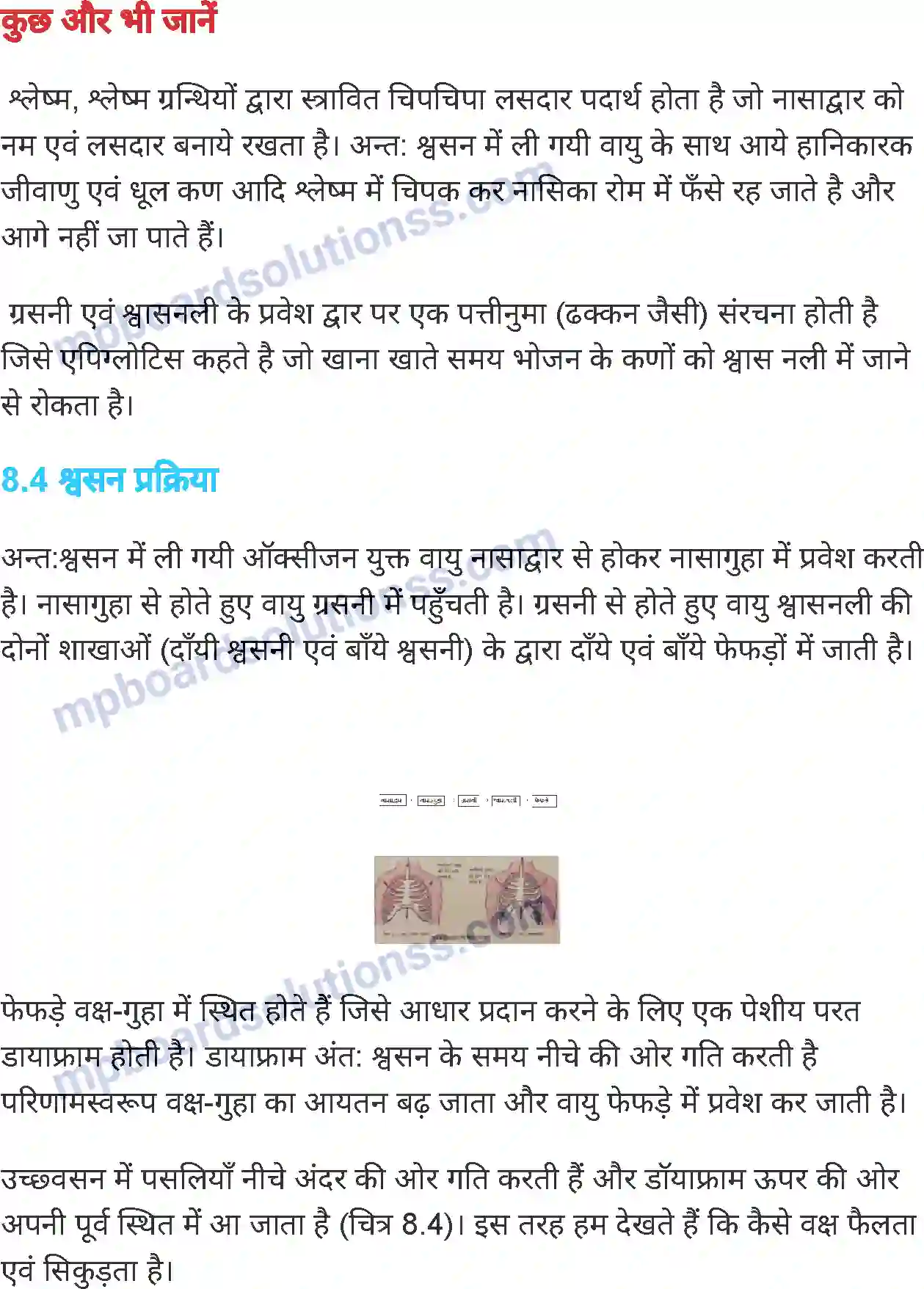 MP Board Book for Class 7 Science जीवों में श्वसन Image 6