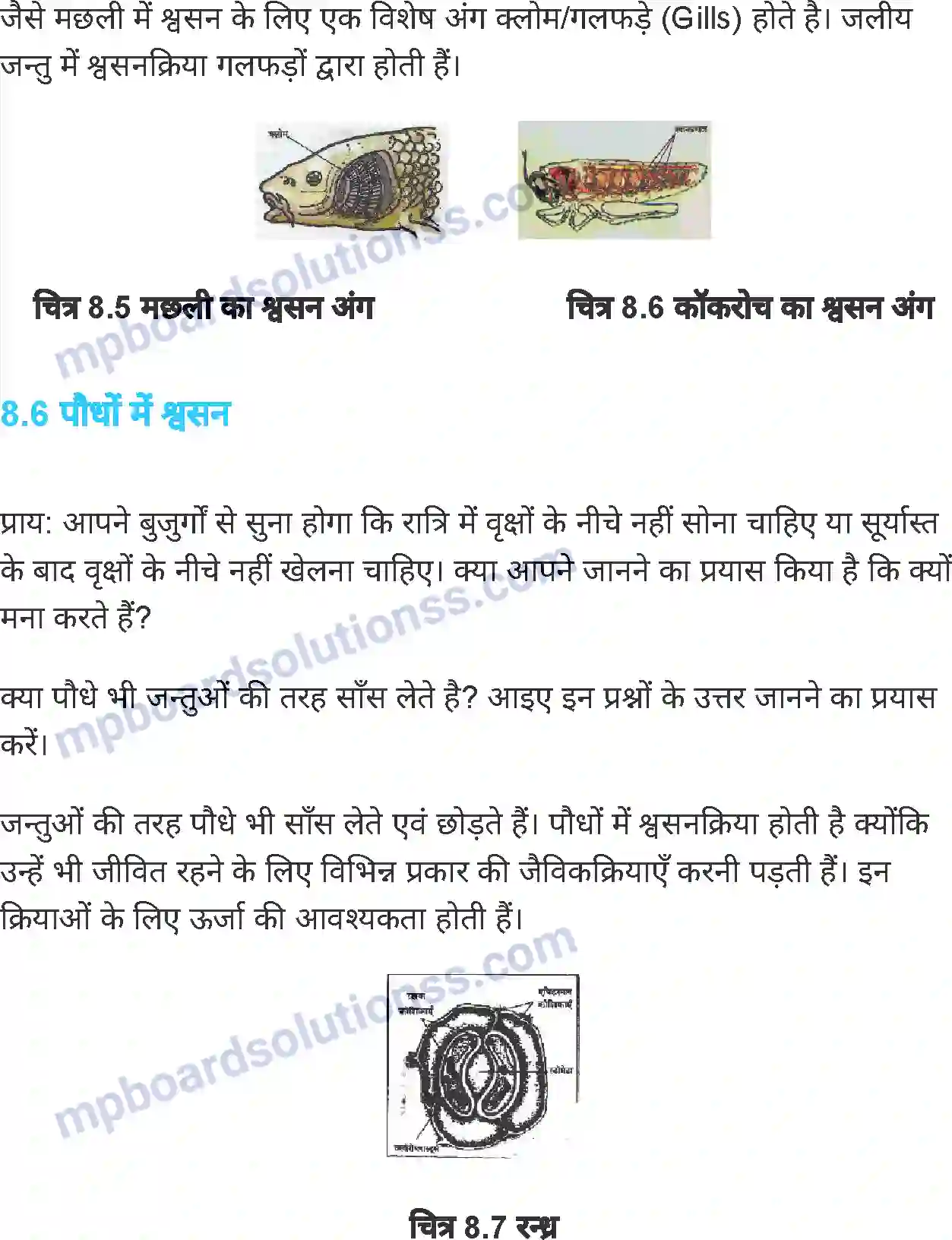 MP Board Book for Class 7 Science जीवों में श्वसन Image 8