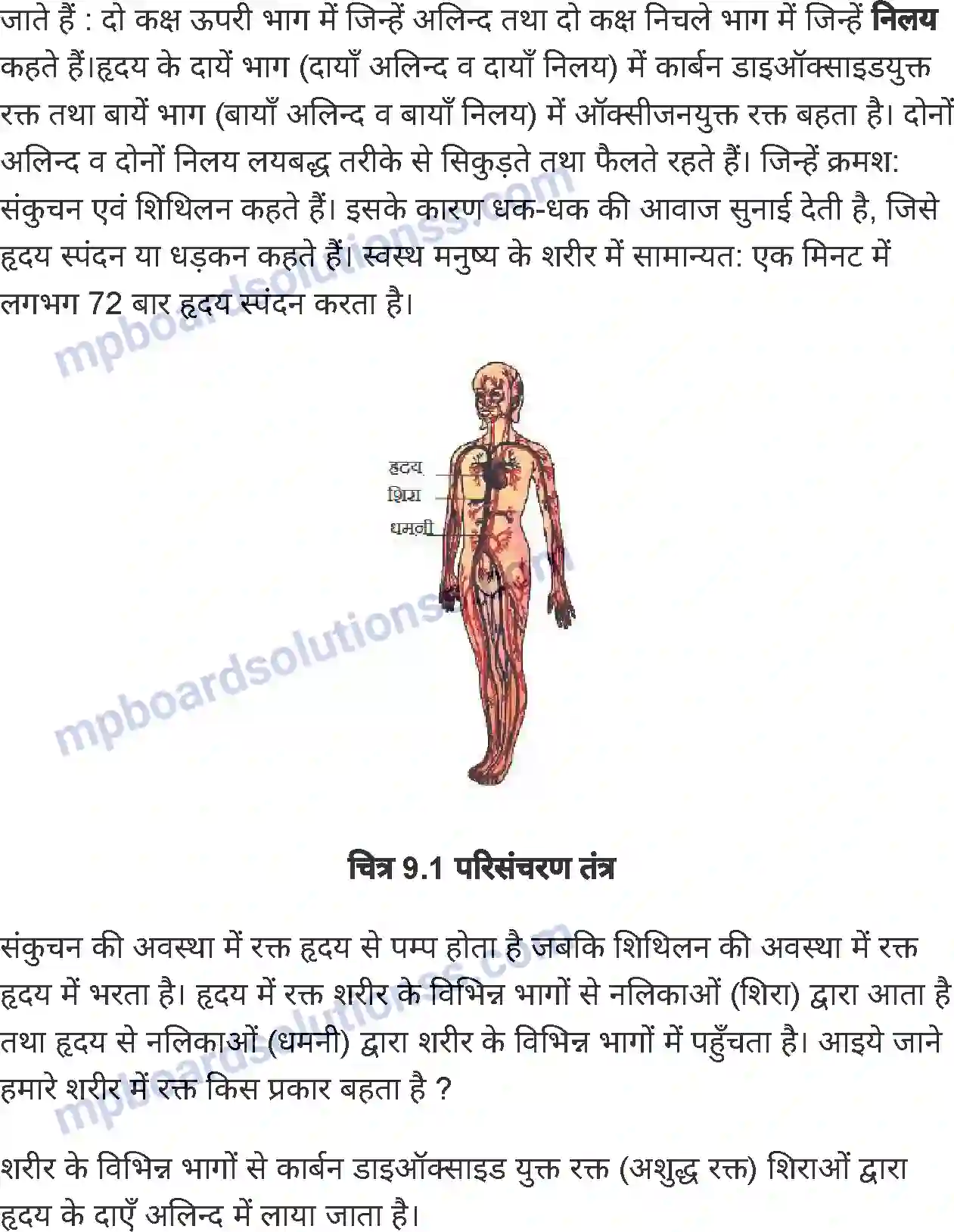 MP Board Book for Class 7 Science जंतुओं एवं पौधों में परिवहन Image 2