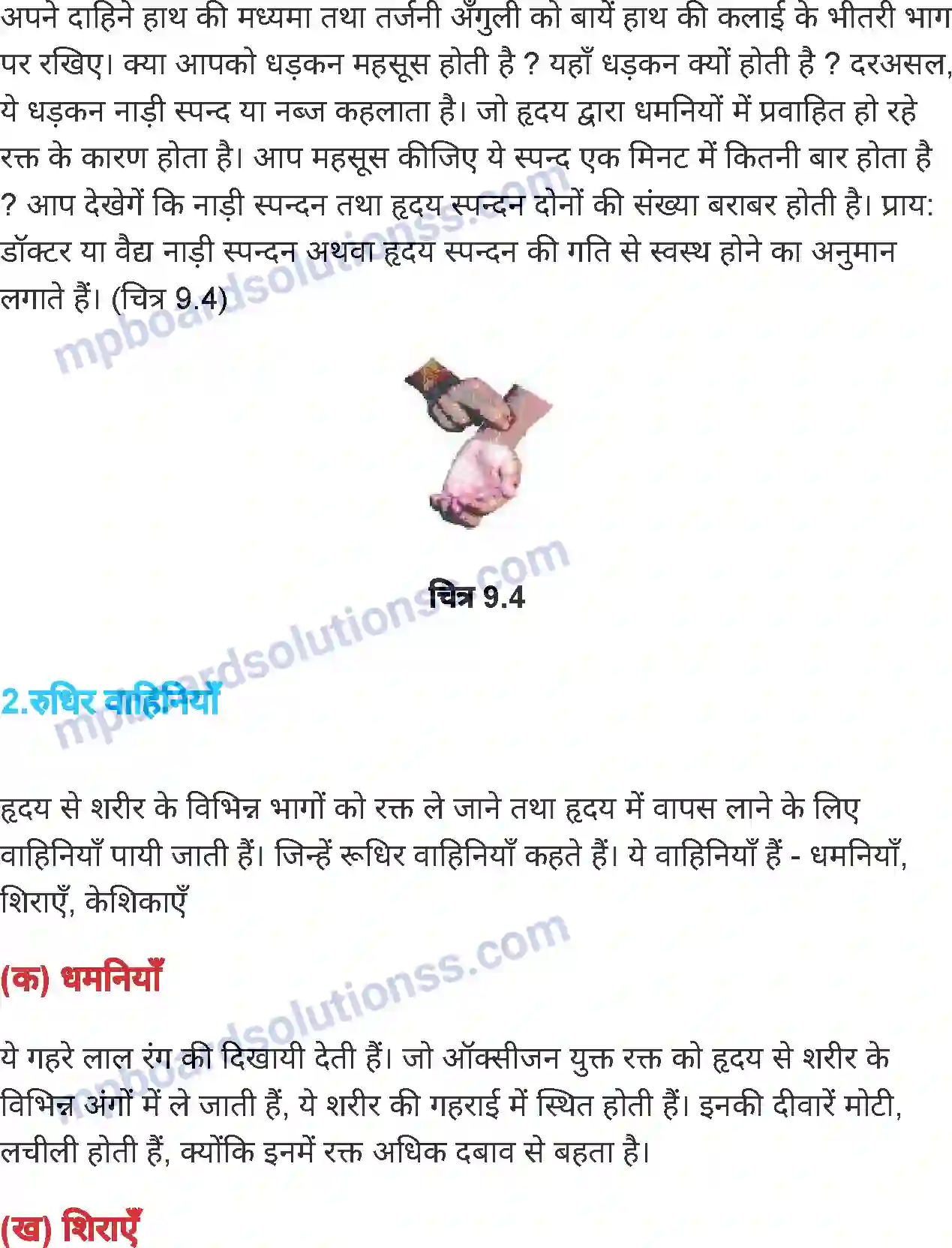 MP Board Book for Class 7 Science जंतुओं एवं पौधों में परिवहन Image 4
