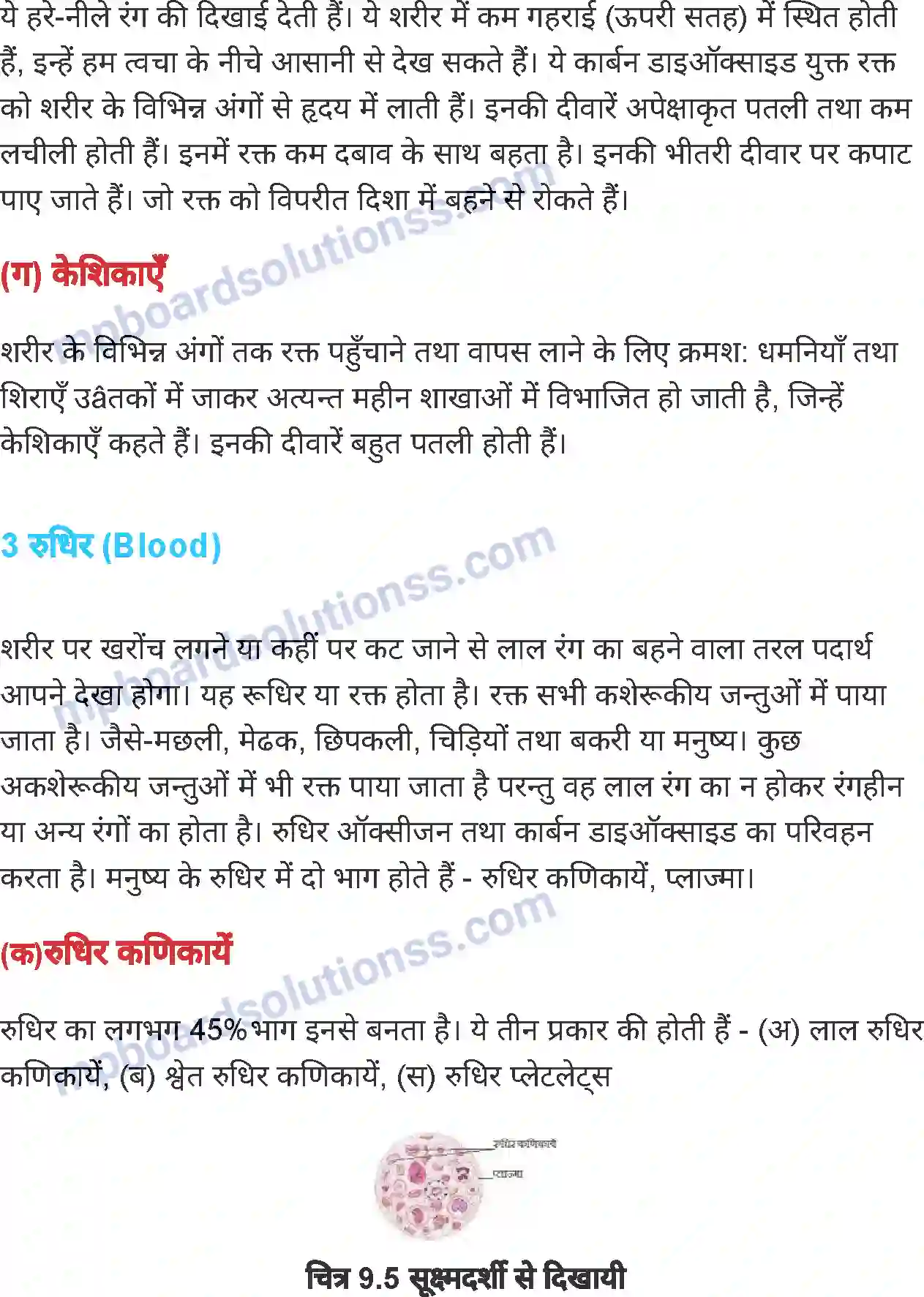 MP Board Book for Class 7 Science जंतुओं एवं पौधों में परिवहन Image 5